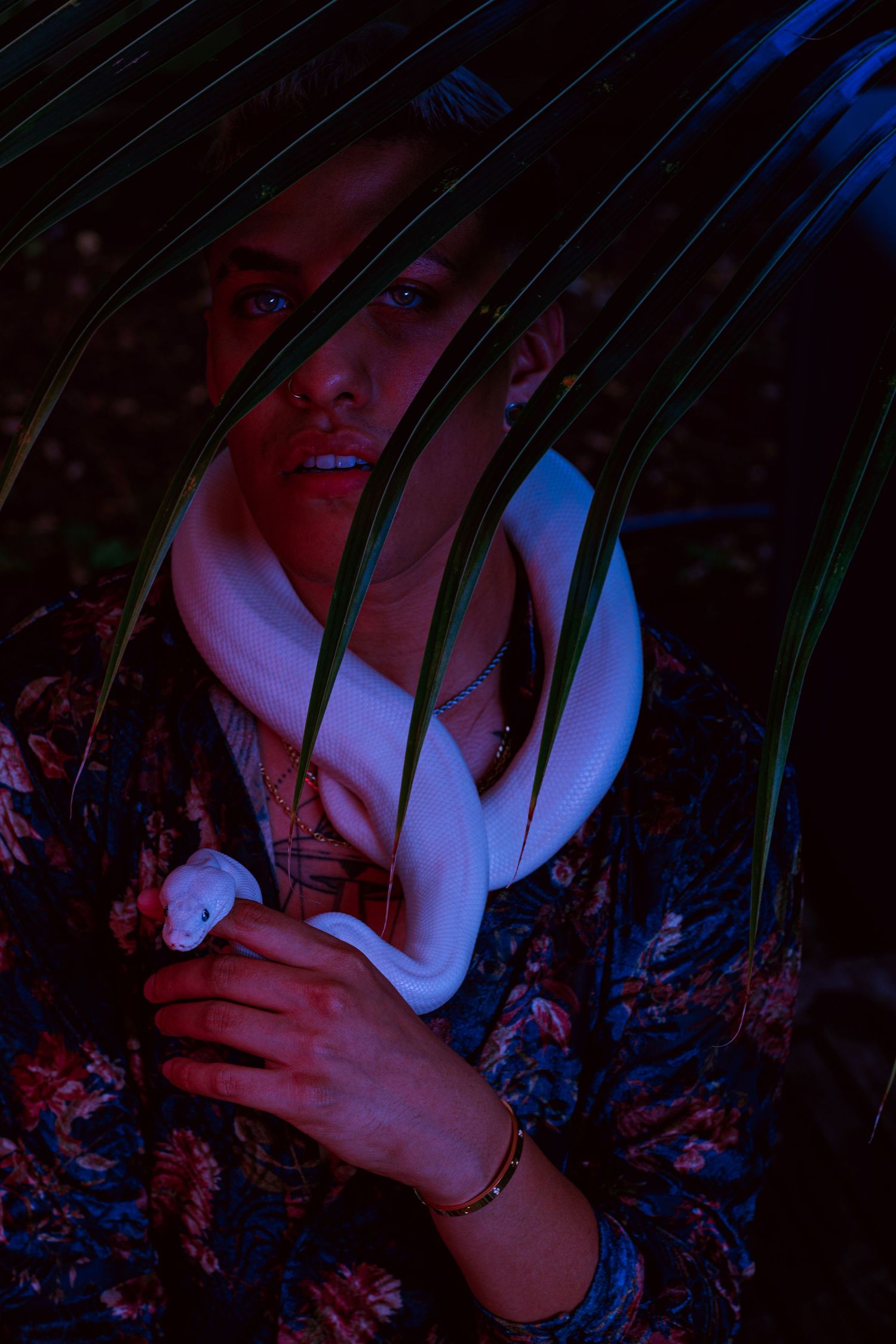 Artistic portrait through palm leaves with dramatic red and blue lighting.