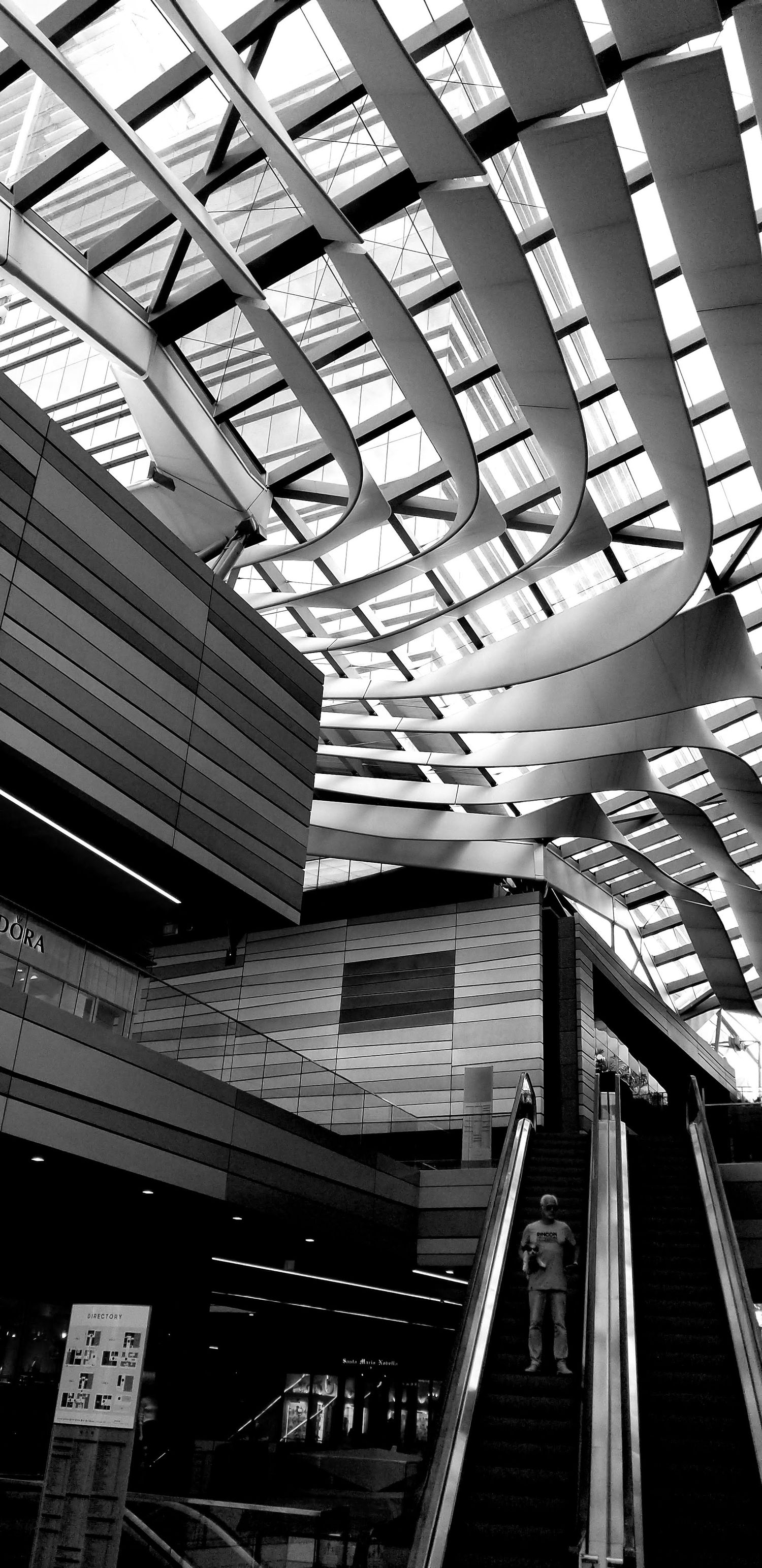 Modern architectural ceiling with curved steel beams and skylights in a commercial building.