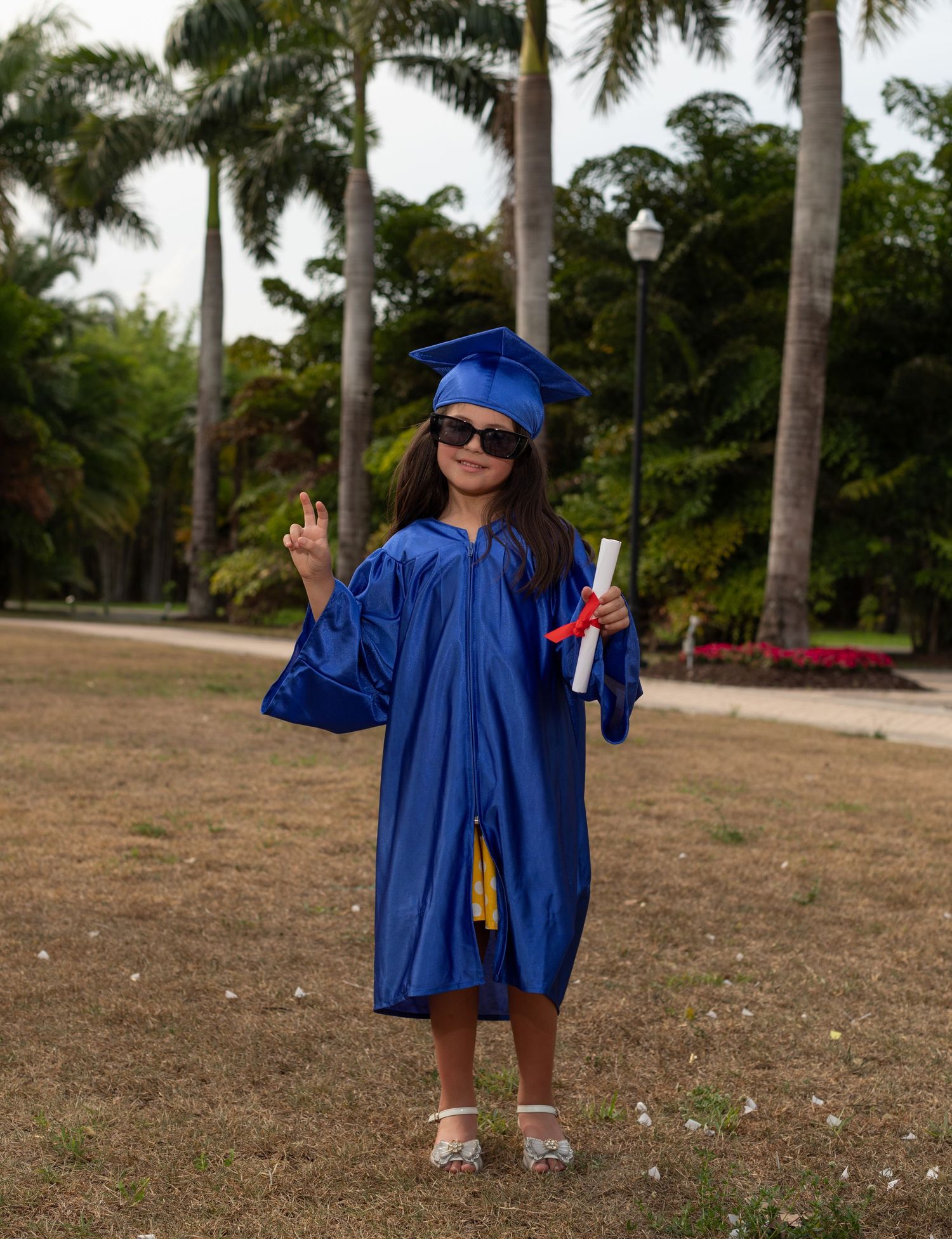 Graduate in bright blue cap and gown poses with diploma and peace sign gesture among tall palm trees outdoors.