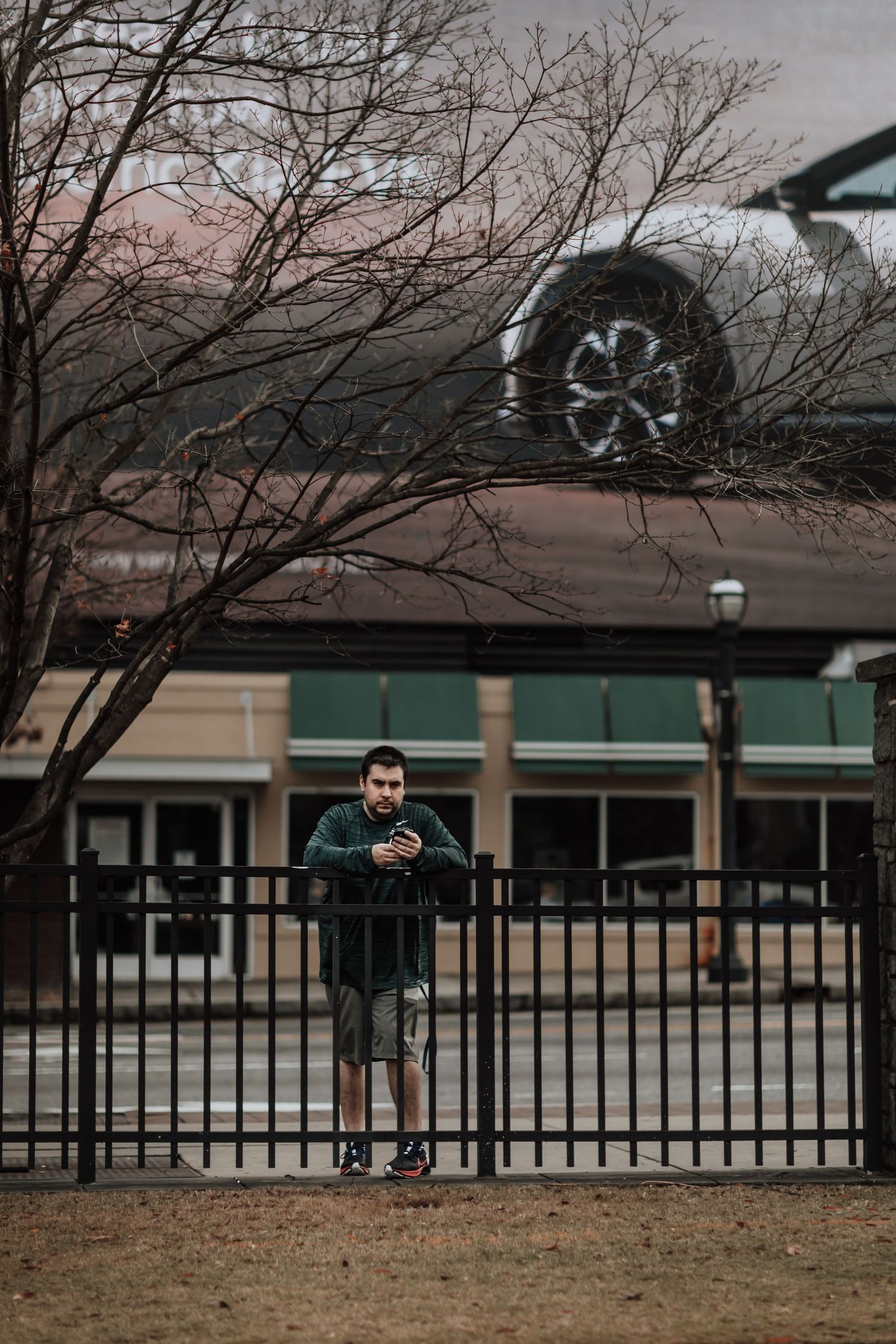 Person in dark clothing stands by metal fence checking phone with bare tree branches overhead.