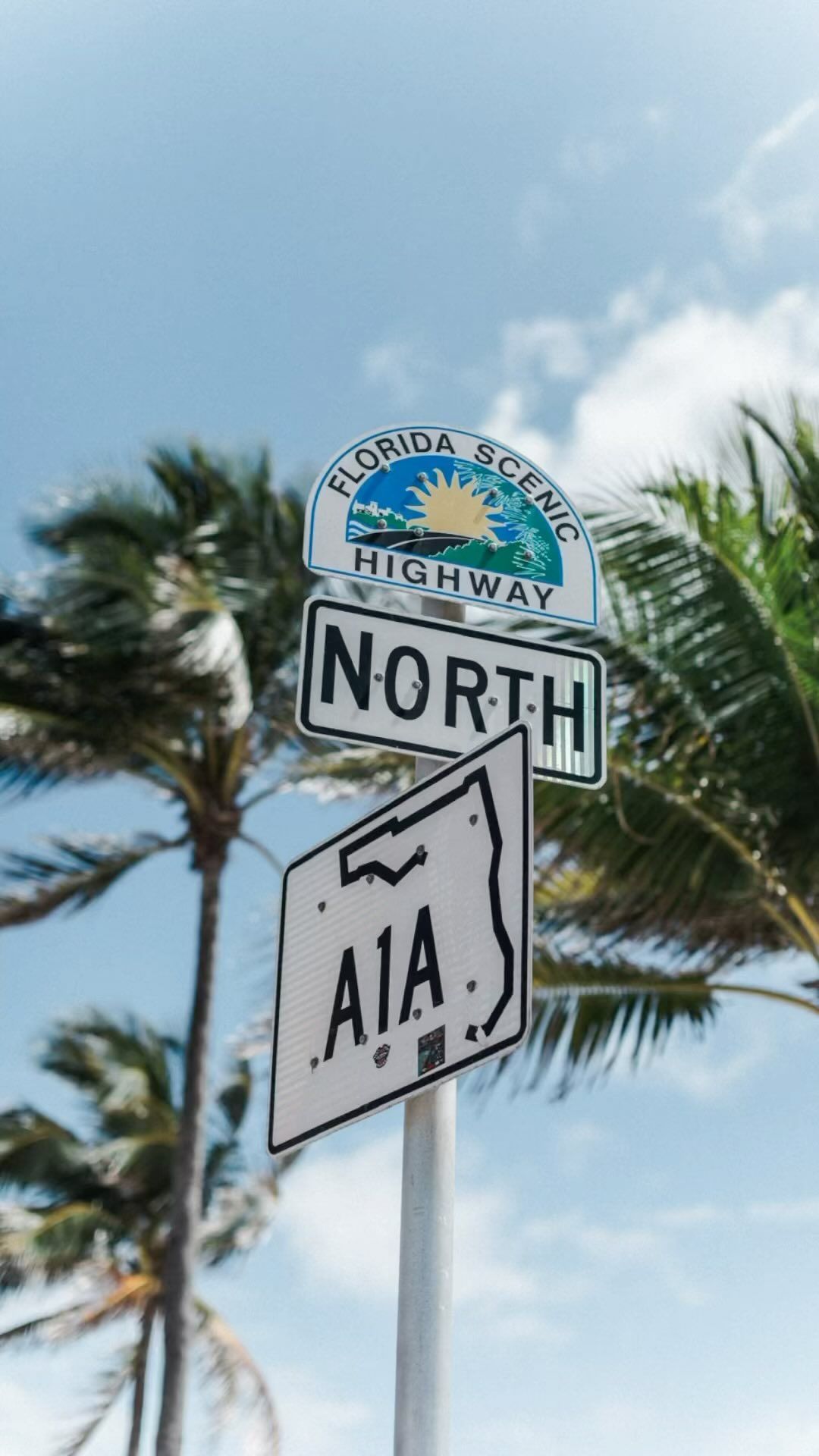 Florida A1A North highway sign with palm trees swaying in background.