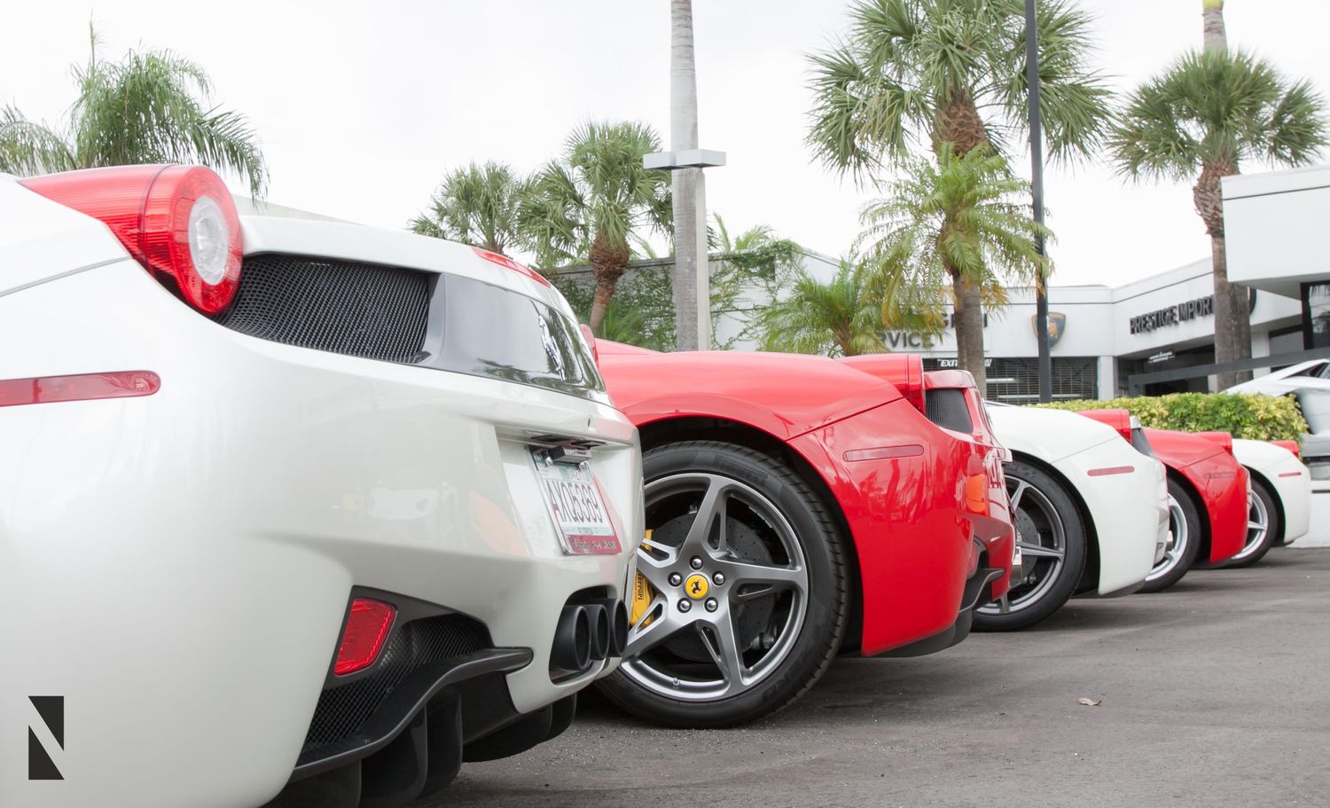 Row of luxury sports cars including red and white vehicles with custom wheels parked next to palm trees.