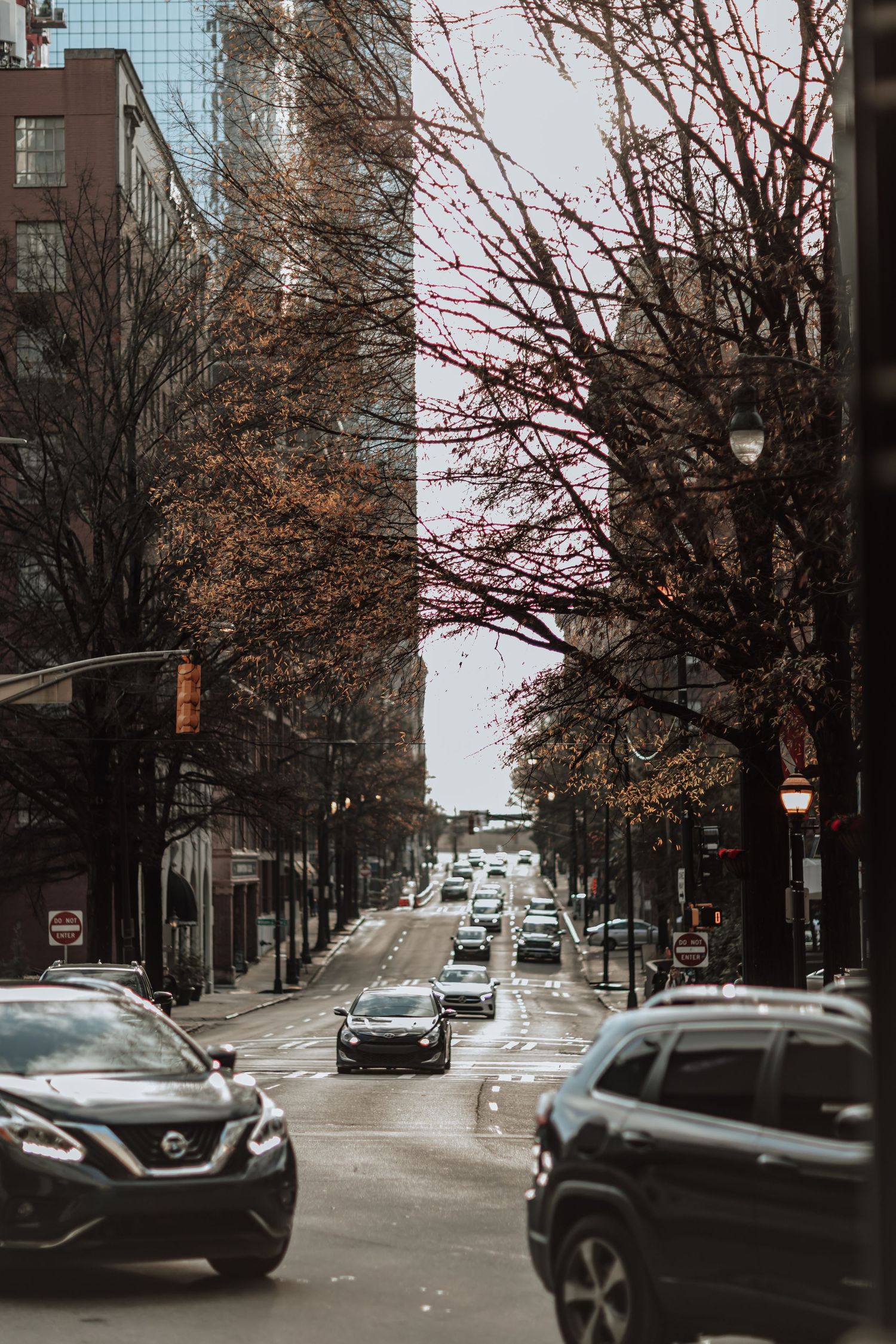 Urban street lined with bare autumn trees and cars driving between tall city buildings.