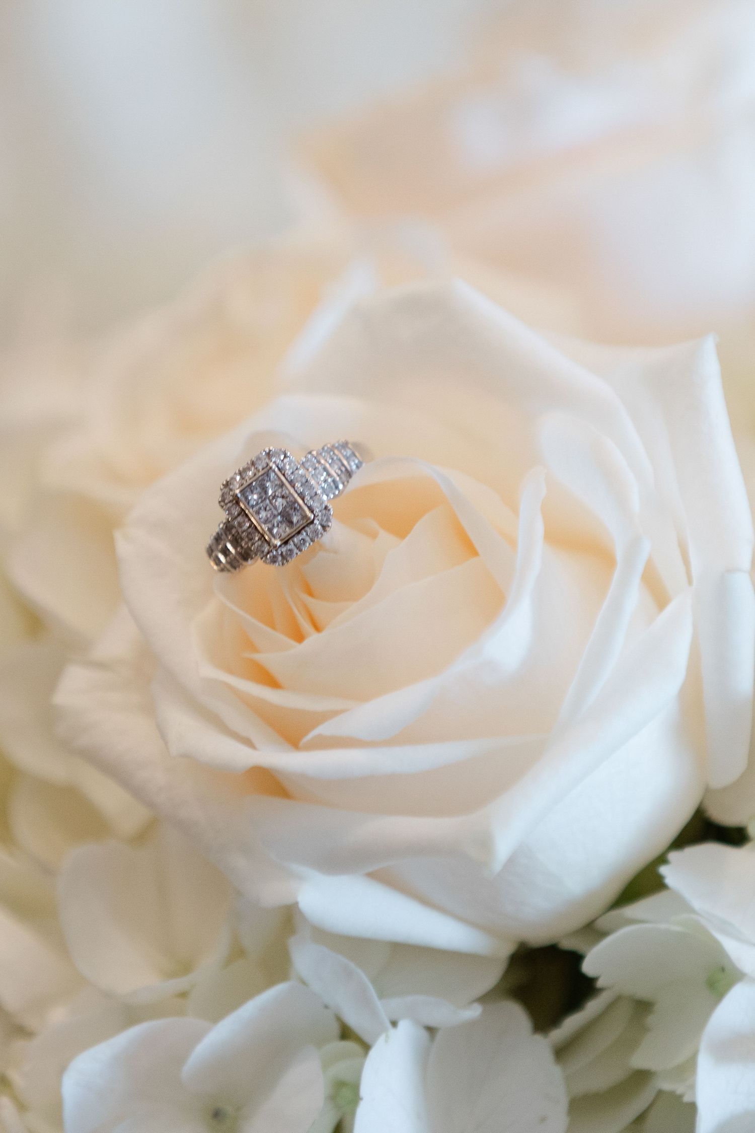 Diamond engagement ring rests elegantly on a cream colored rose surrounded by white floral petals.
