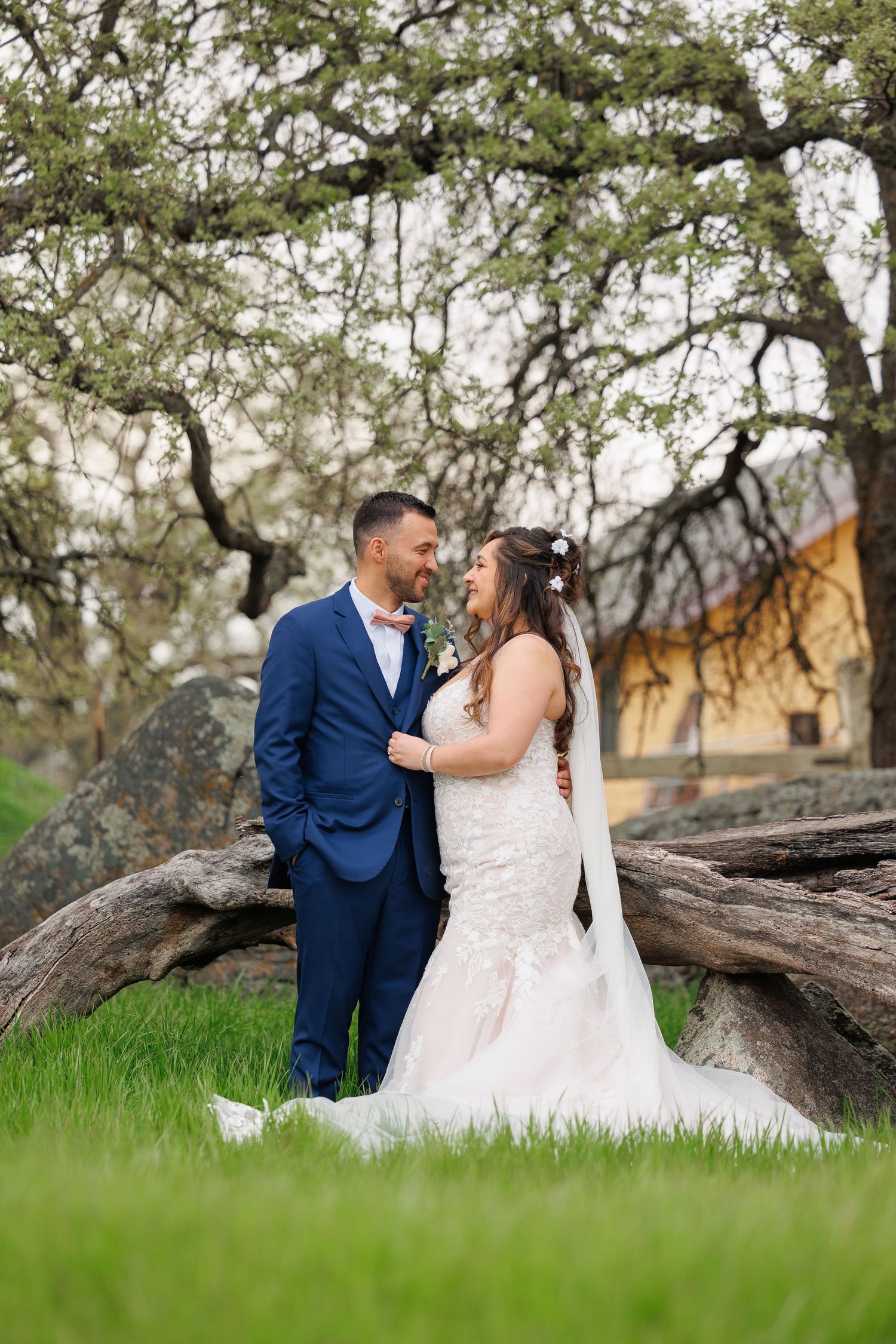 Romantic wedding couple sits on fallen tree trunk surrounded by lush green grass and oak trees.