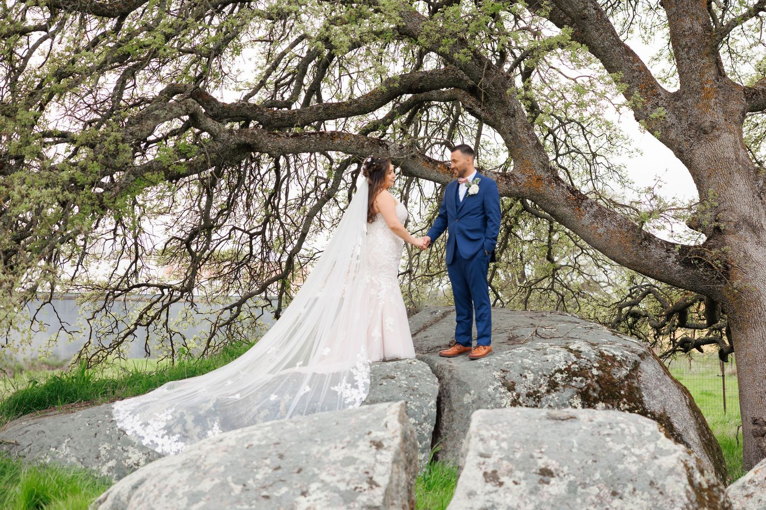 A couple poses together on a large gray boulder under a twisted tree branch during an outdoor photo session.