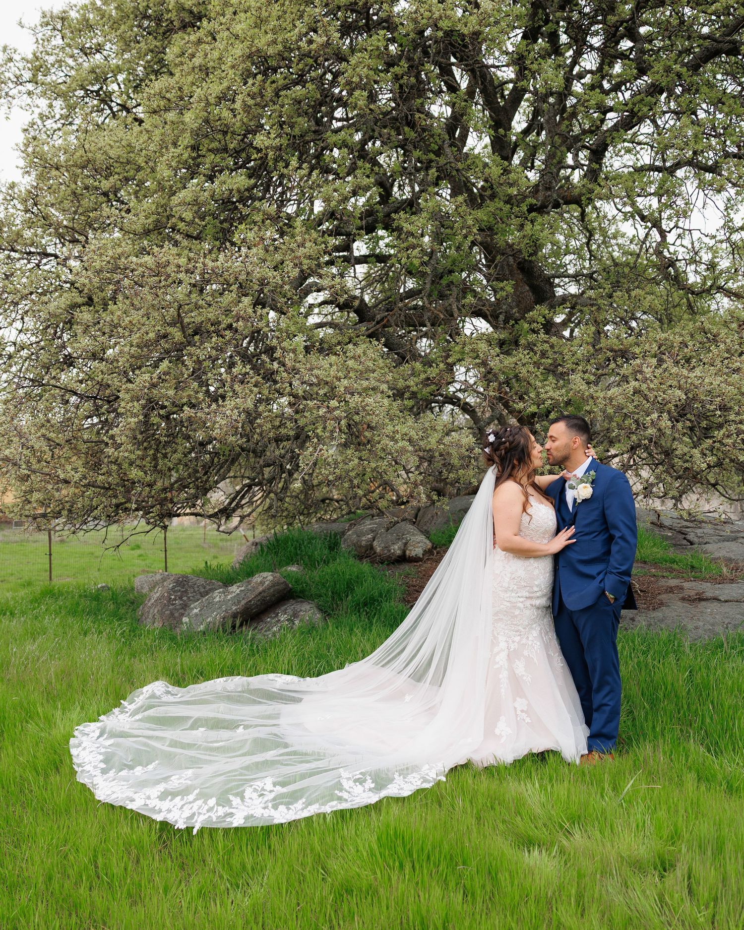 A couple in wedding attire embraces on lush green grass beneath a blooming tree, with a flowing white veil trailing behind.
