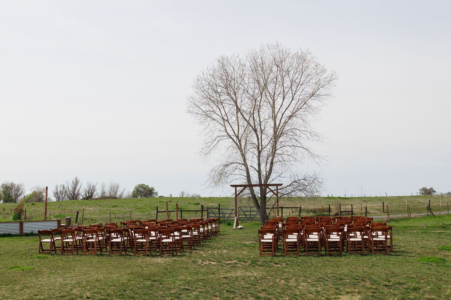 Wooden chairs arranged in rows for an outdoor ceremony with a bare tree in the background on a grassy field.