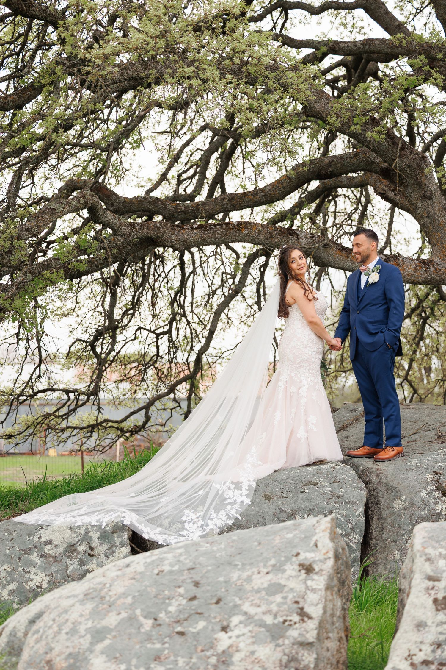 A couple in wedding attire stands on large rocks under a blooming tree with trailing branches and white flowers.
