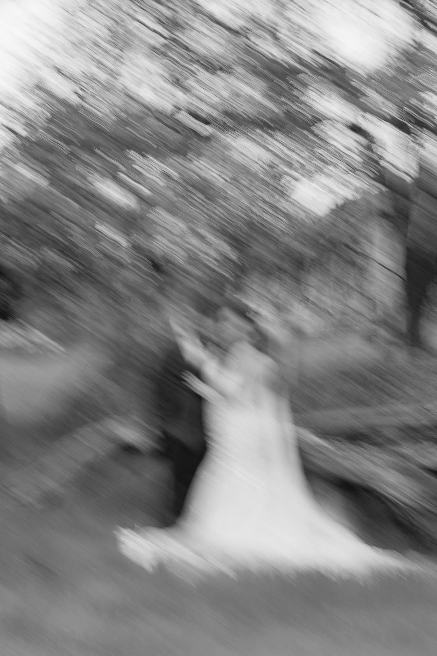Motion-blurred black and white photograph shows a ghostly white figure moving through a wooded outdoor setting.