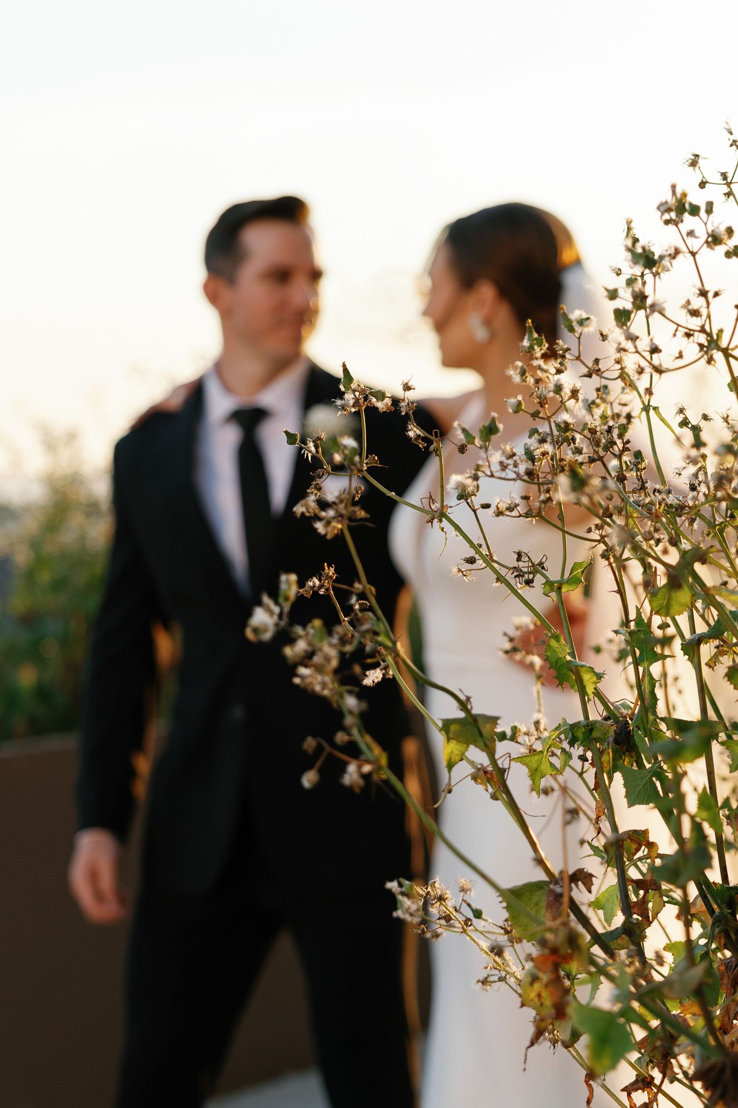 Elegant wedding couple photographed through delicate white spring blossoms at sunset.