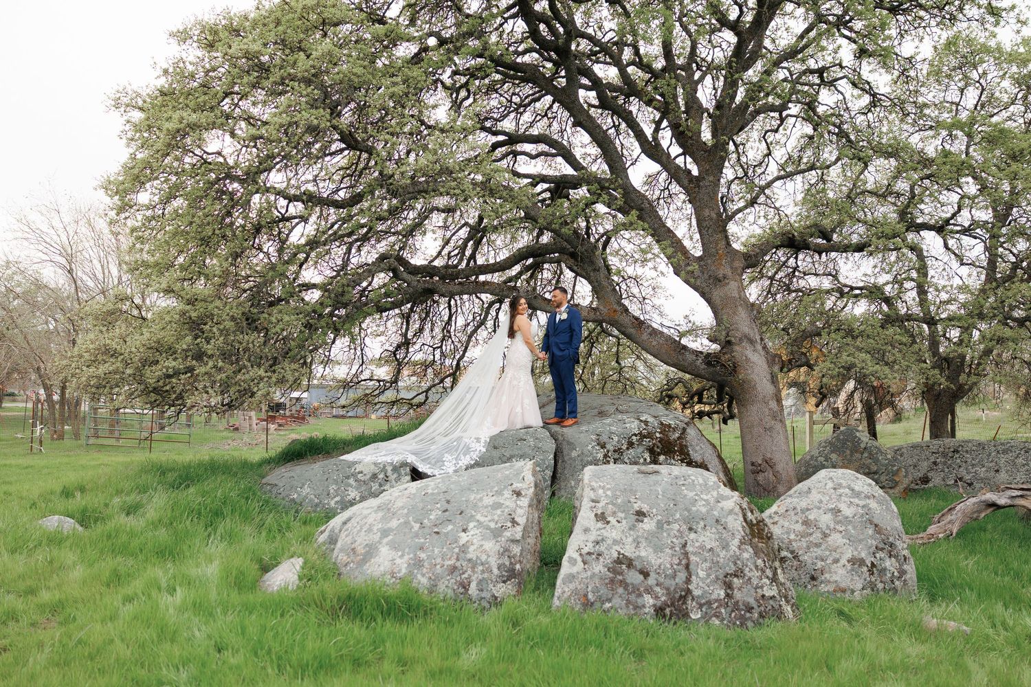 Large granite boulders scattered among oak trees in a grassy meadow landscape create a natural outdoor setting.