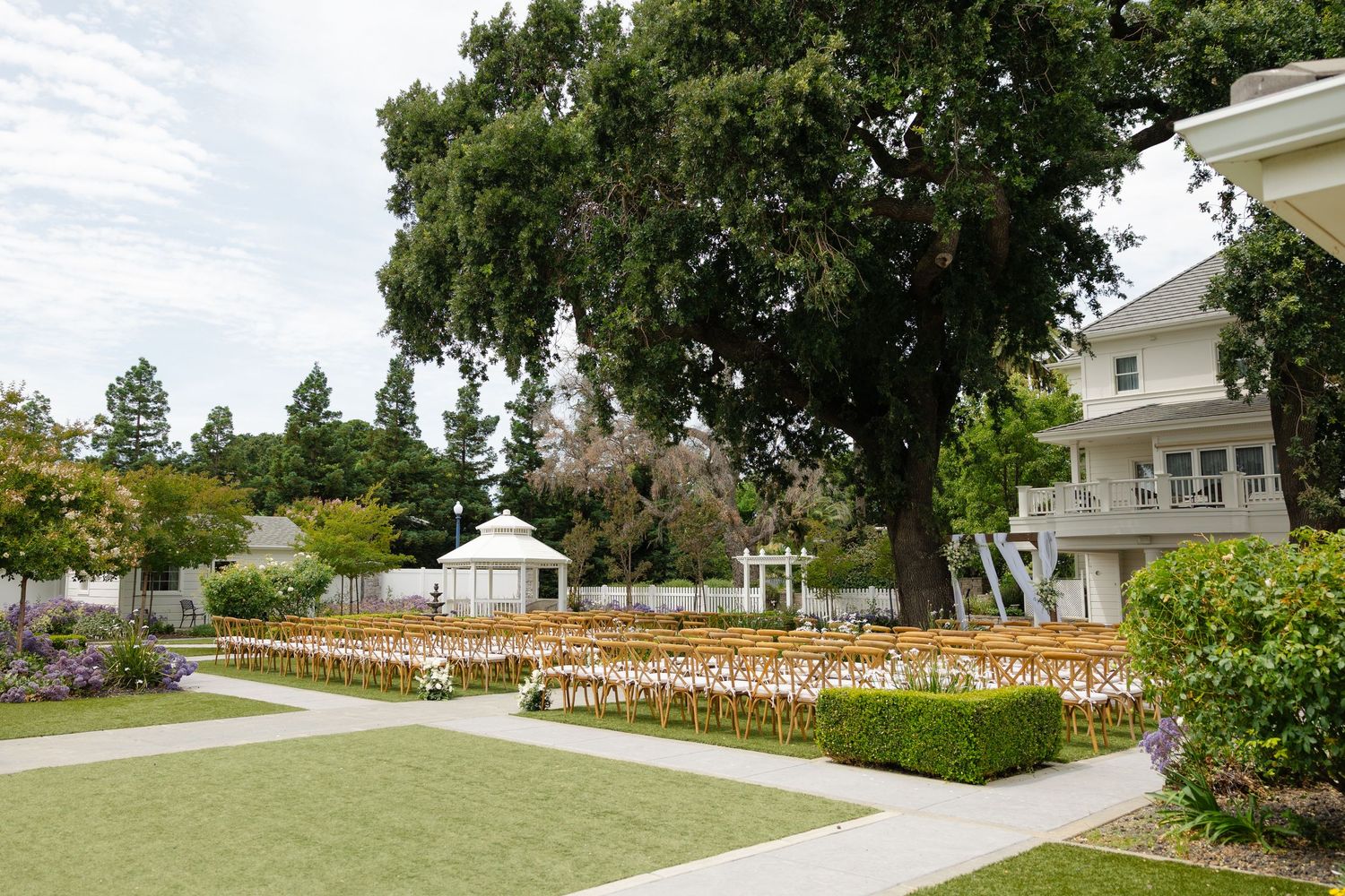 Panoramic view of a lush backyard garden with wooden fencing and mature trees in a residential setting.