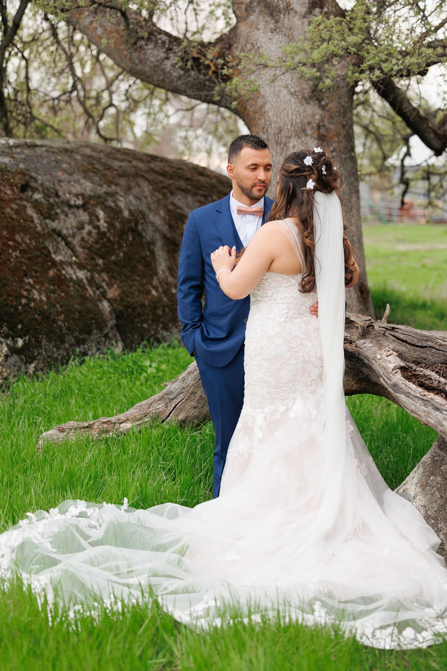 A romantic wedding couple embraces under a large tree in a grassy meadow, the bride's white lace gown trailing behind them.