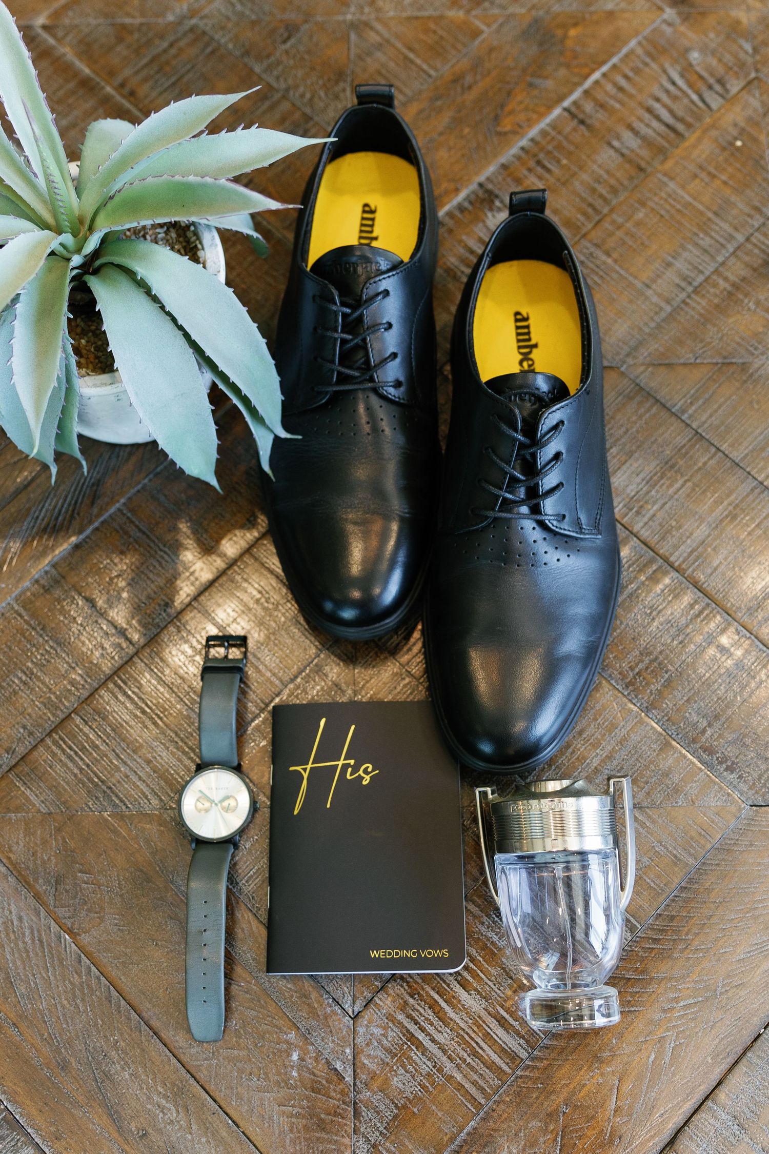 Black leather dress shoes arranged with watch and glasses on rustic wooden floor with decorative plant accents.