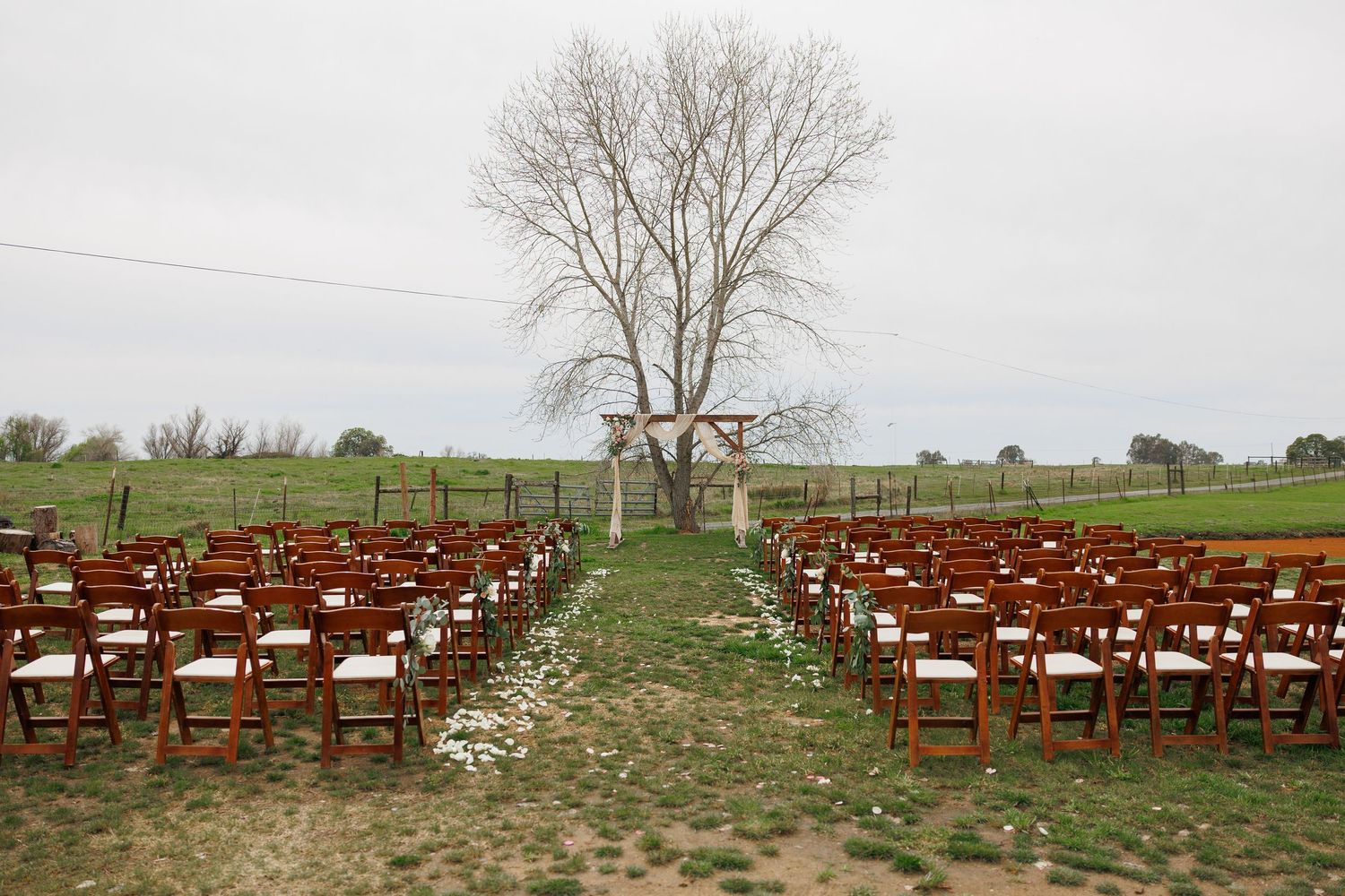 Rows of wooden chairs line a grassy outdoor ceremony space with a bare tree and arch at the end of the aisle.