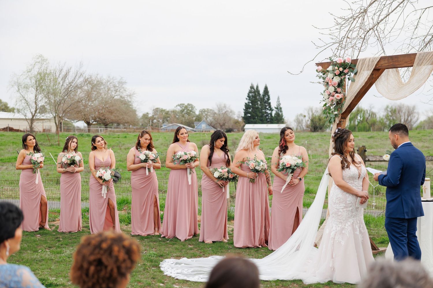 A wedding party in dusty rose bridesmaid dresses poses together in a scenic outdoor setting.