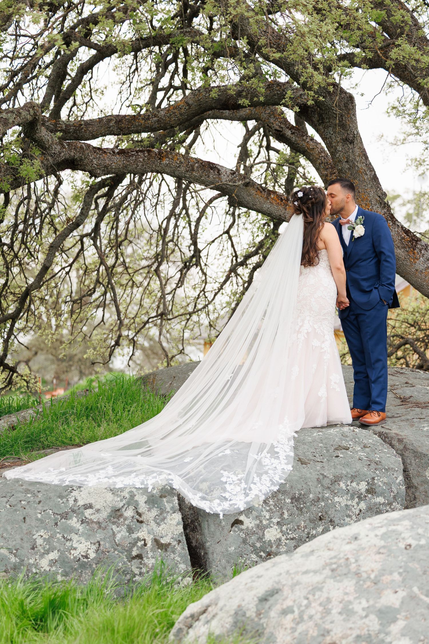 A couple in formal wedding attire embrace on a large gray boulder beneath a sprawling oak tree.