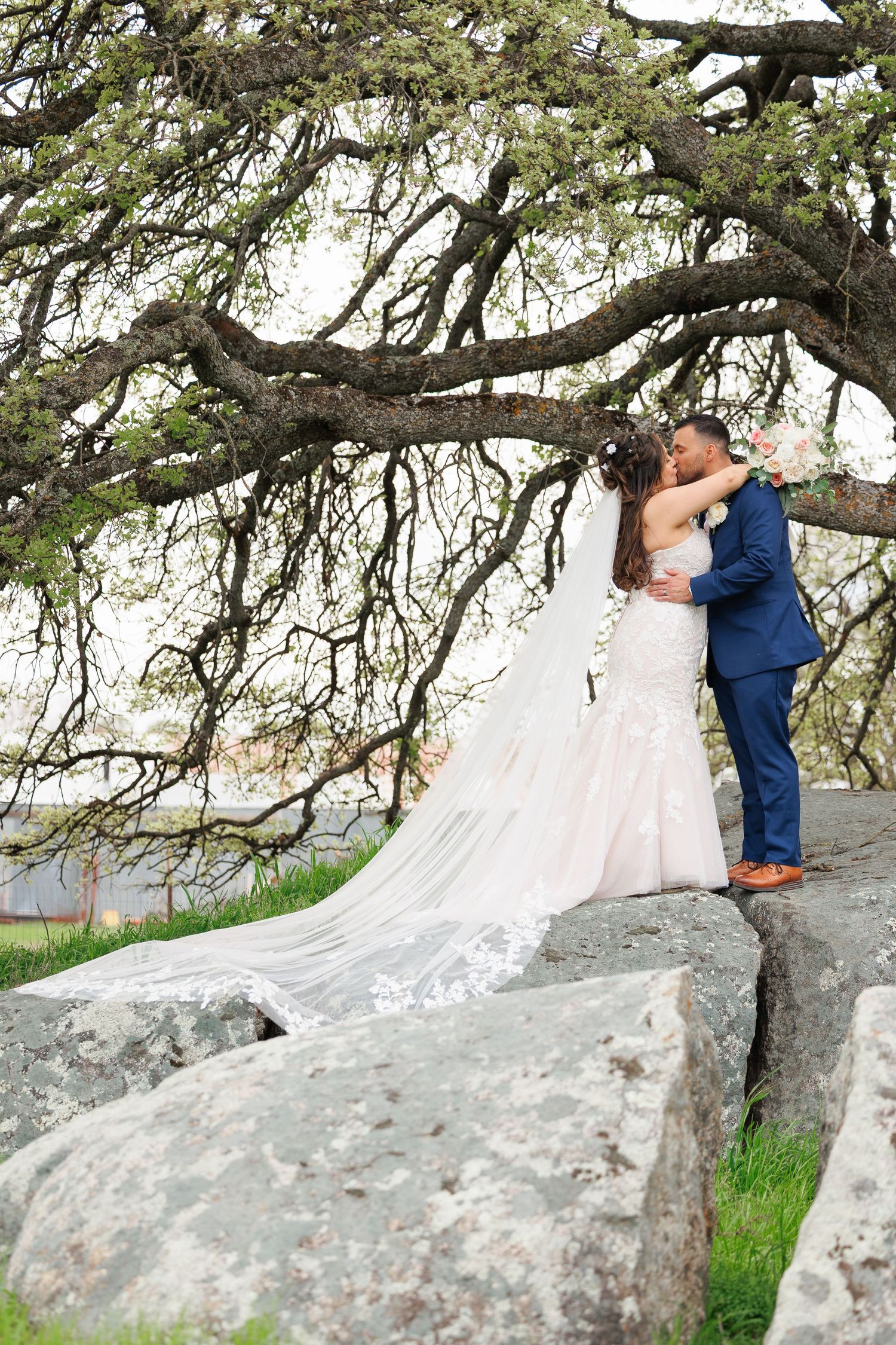 A couple shares an intimate moment on a large boulder under a twisted tree branch during their wedding photoshoot.