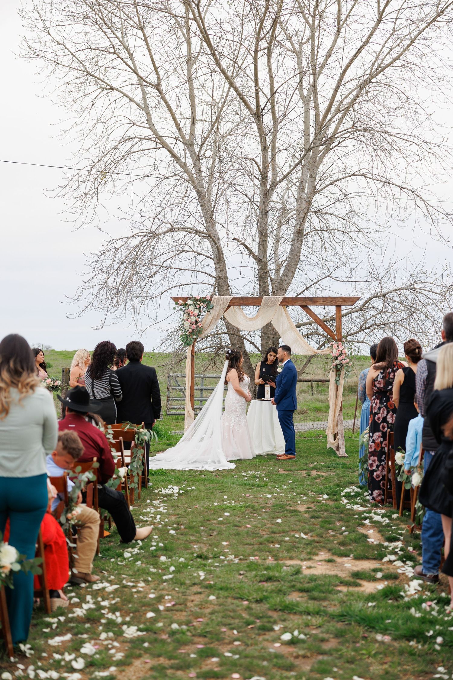 An outdoor wedding ceremony takes place under a large bare tree with scattered flower petals along the aisle.