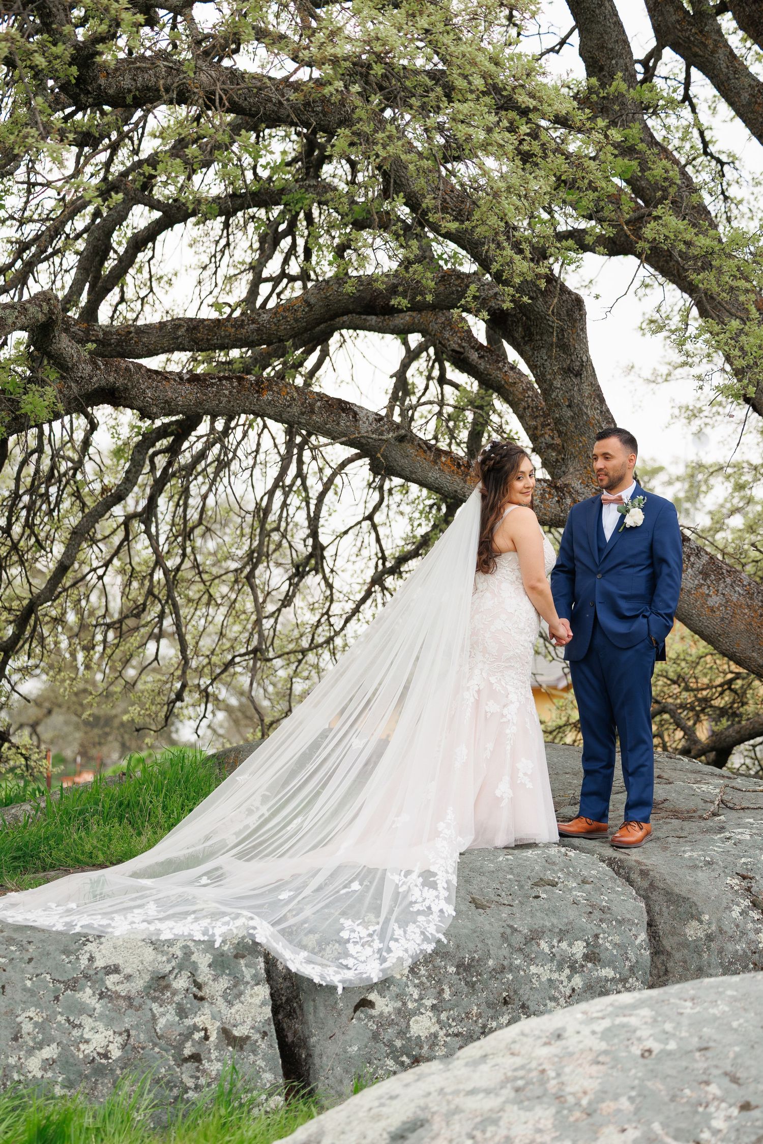 A bride and groom pose together under a majestic oak tree on a rocky outcrop during their outdoor wedding photoshoot.