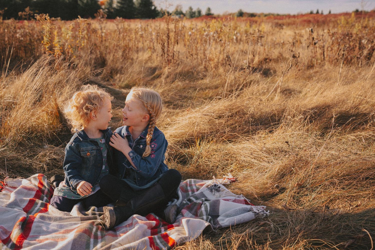 Two young children sitting together on a picnic blanket in a golden autumn field during a candid family photography session at Lemoine Point