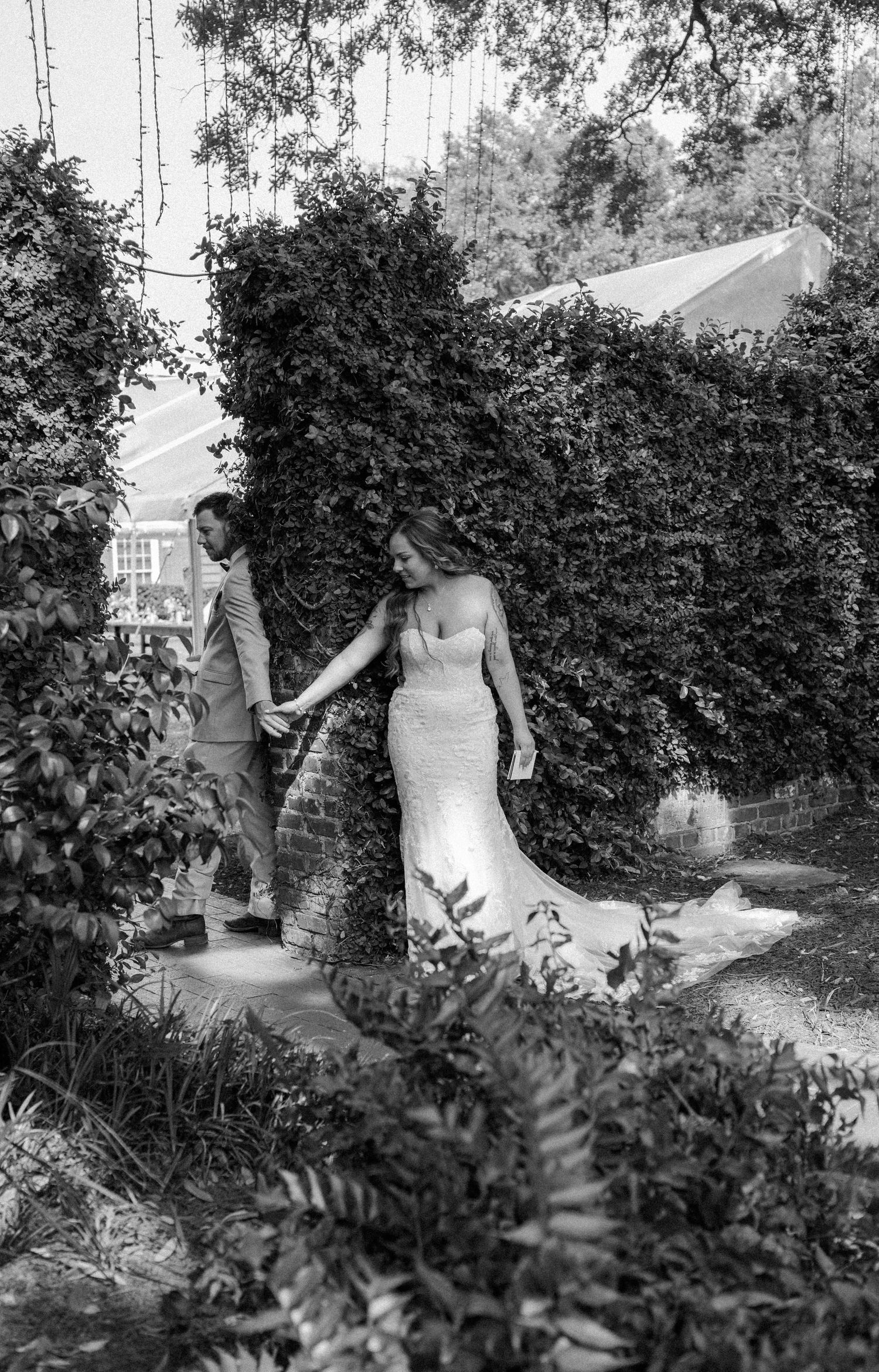 Black and white photo of a bride in a fitted lace gown holding her groom's hand beside a tall ivy covered hedge.