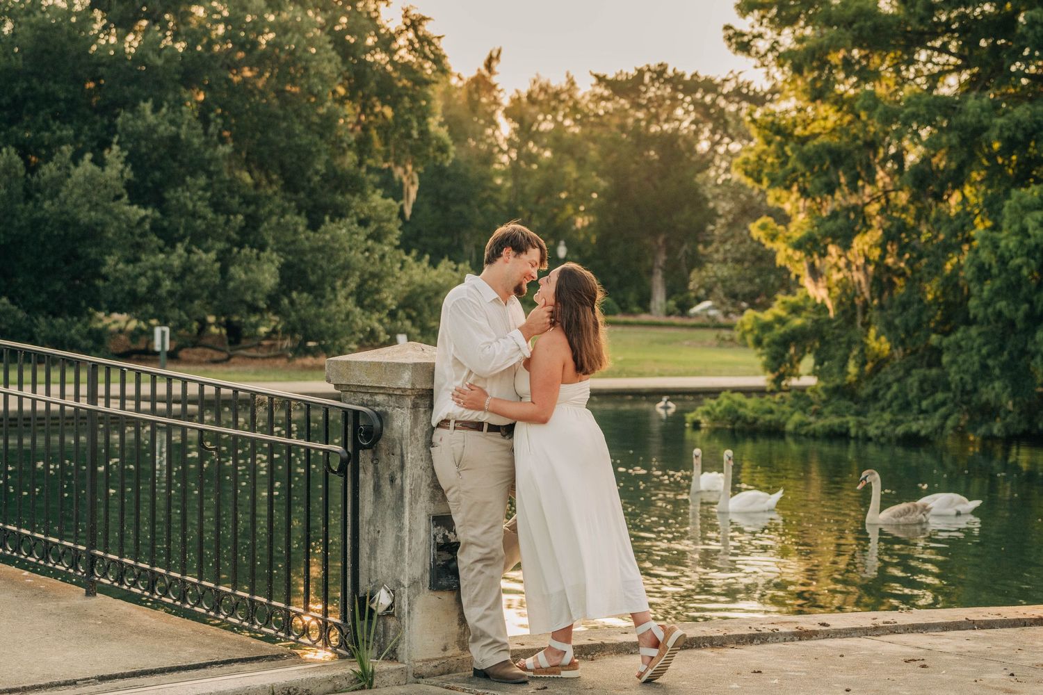 Couple embraces on a stone bridge at sunset overlooking a pond where swans glide beneath lush green trees.