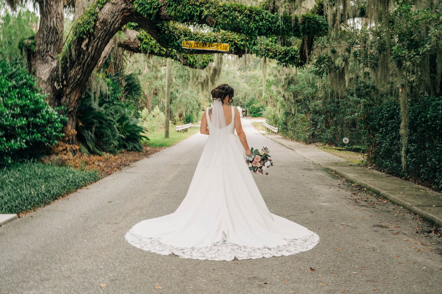 Bride in a lace-trimmed gown with a long train walks away down a tree-lined lane draped with Spanish moss, holding her bouquet.