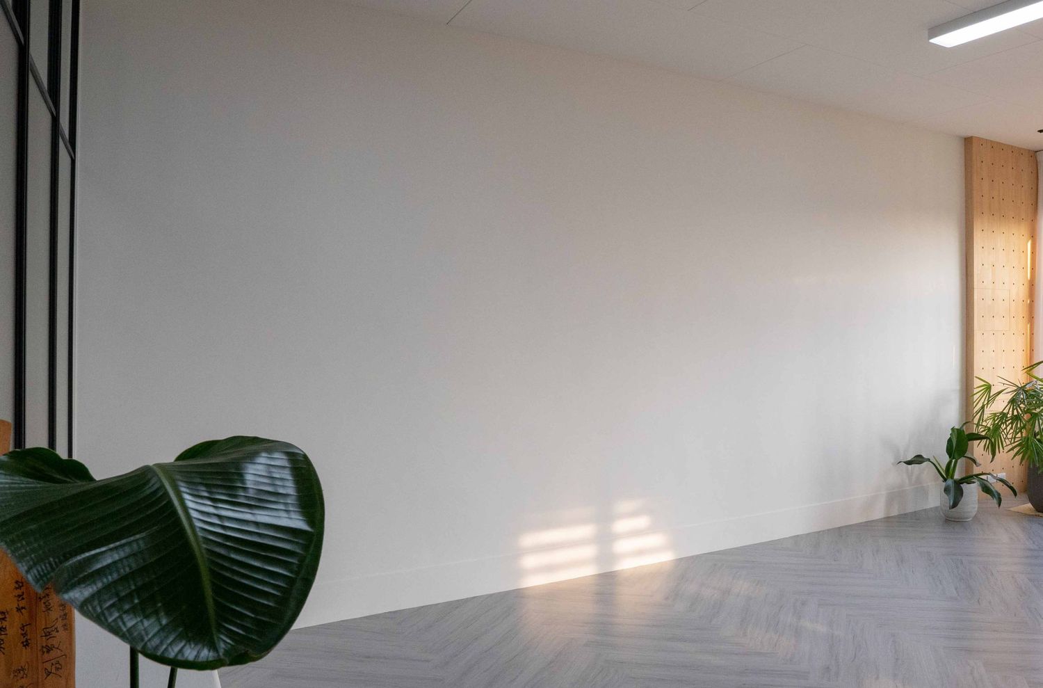 Minimalist interior room with herringbone flooring, white walls, and a large tropical leaf plant in the corner.