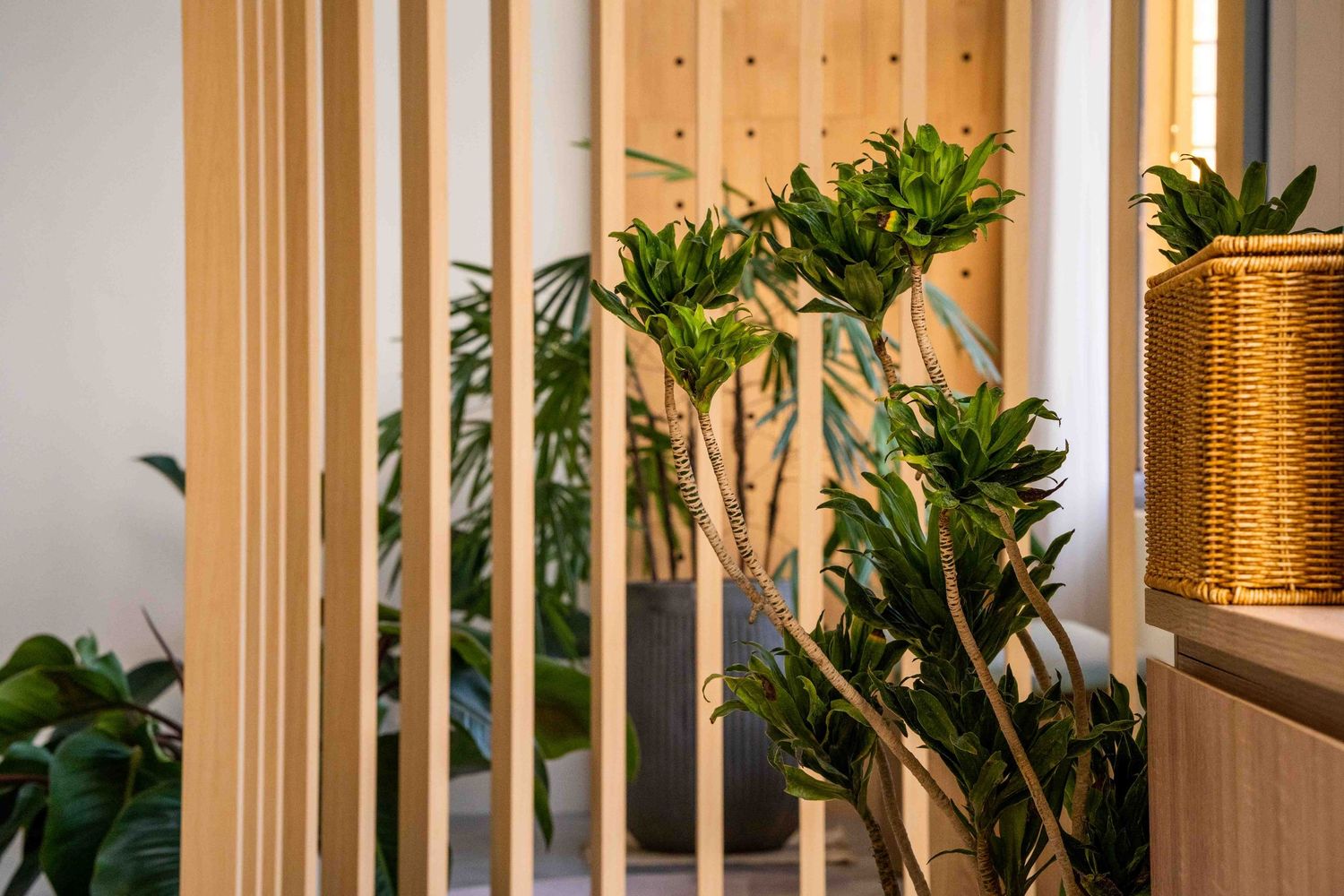 A modern interior design featuring vertical wood slats, lush potted plants, and golden metallic accent pieces in natural light.