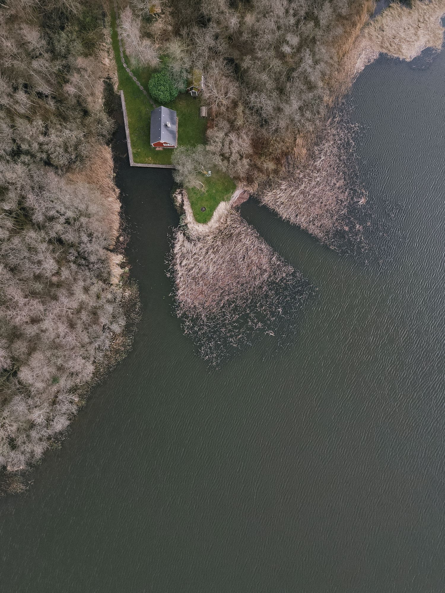 Aerial drone view of a small lakeside cabin surrounded by bare trees and rocky shoreline.