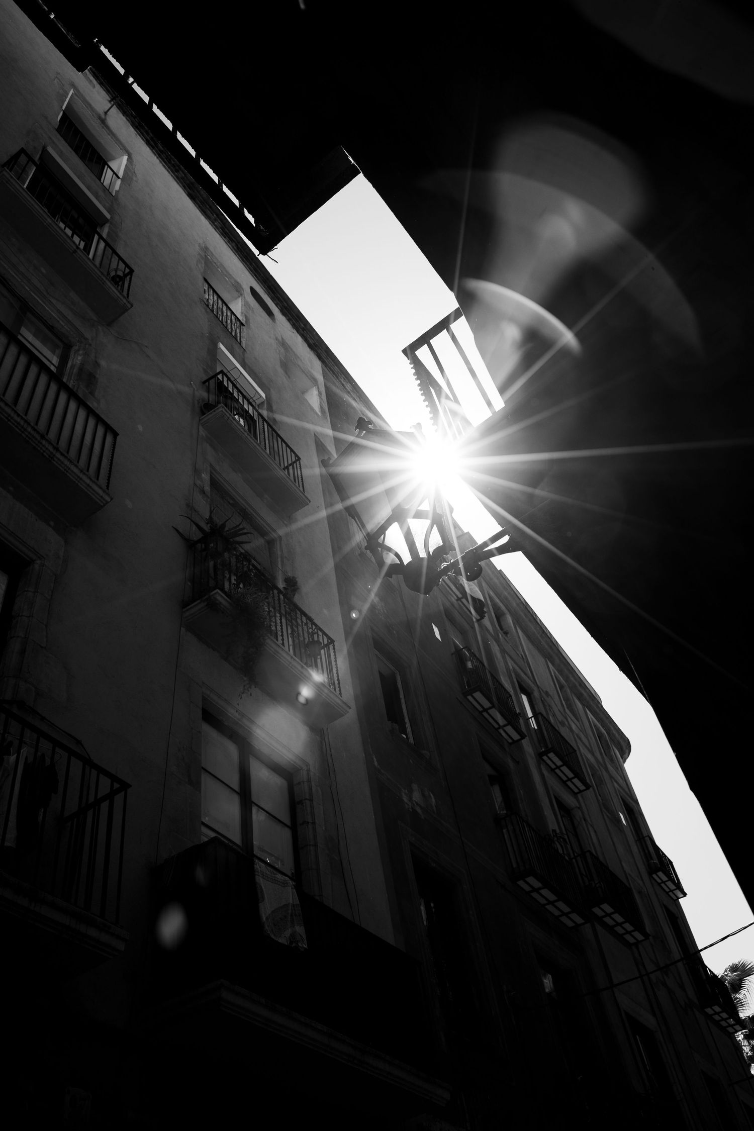 Dramatic black and white urban street photo with sunburst flare between tall city buildings.