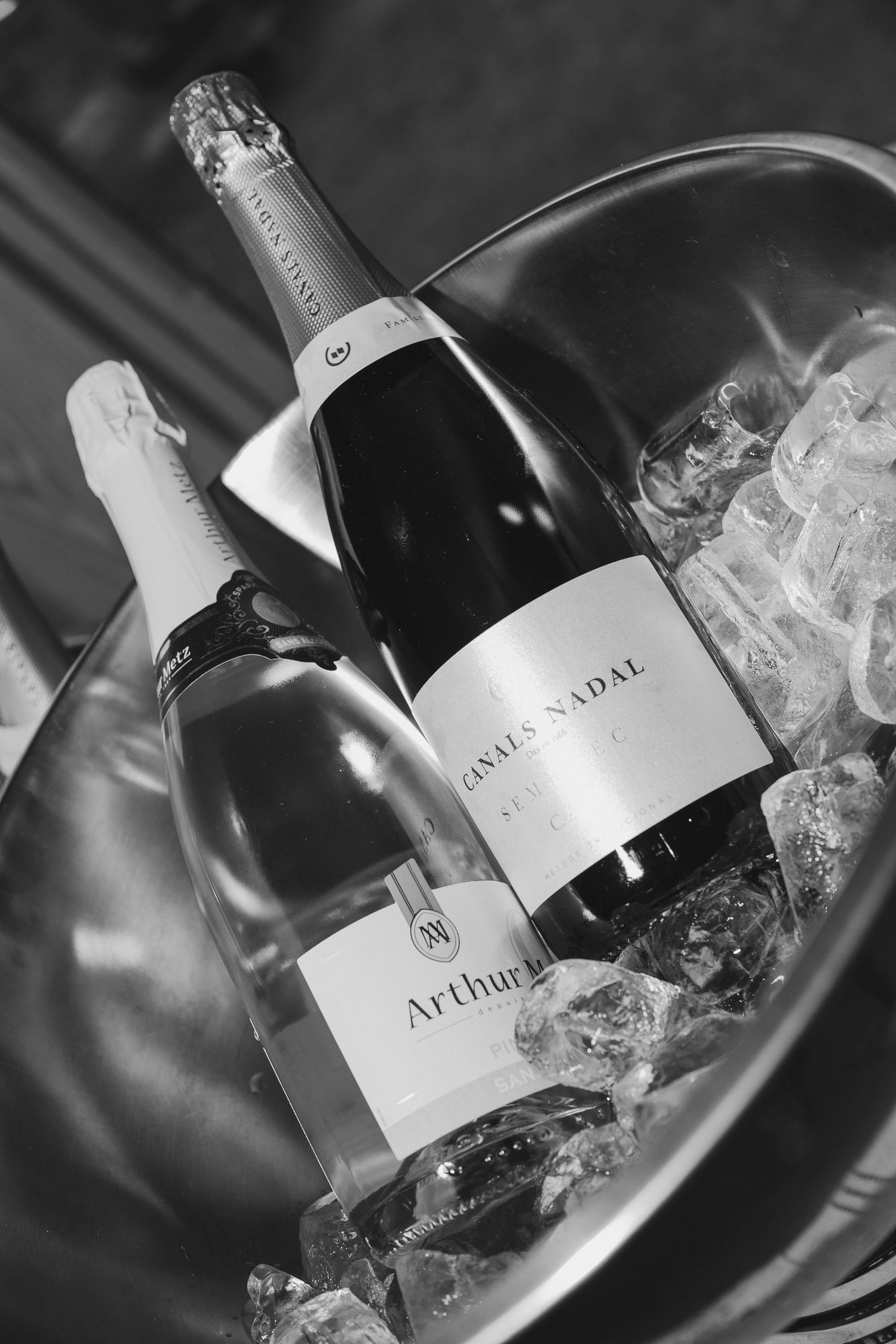 Two champagne bottles chilling in an ice bucket, including Canvas Nadal and Arthur brands, in black and white.