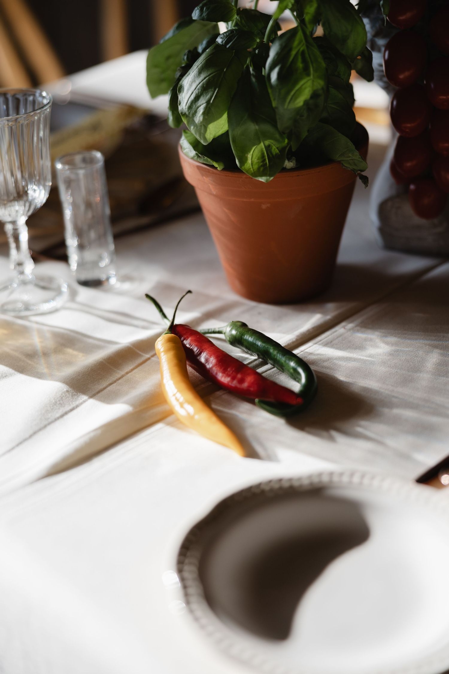 Colorful fresh chili peppers on white tablecloth beside plate and potted basil plant centerpiece.