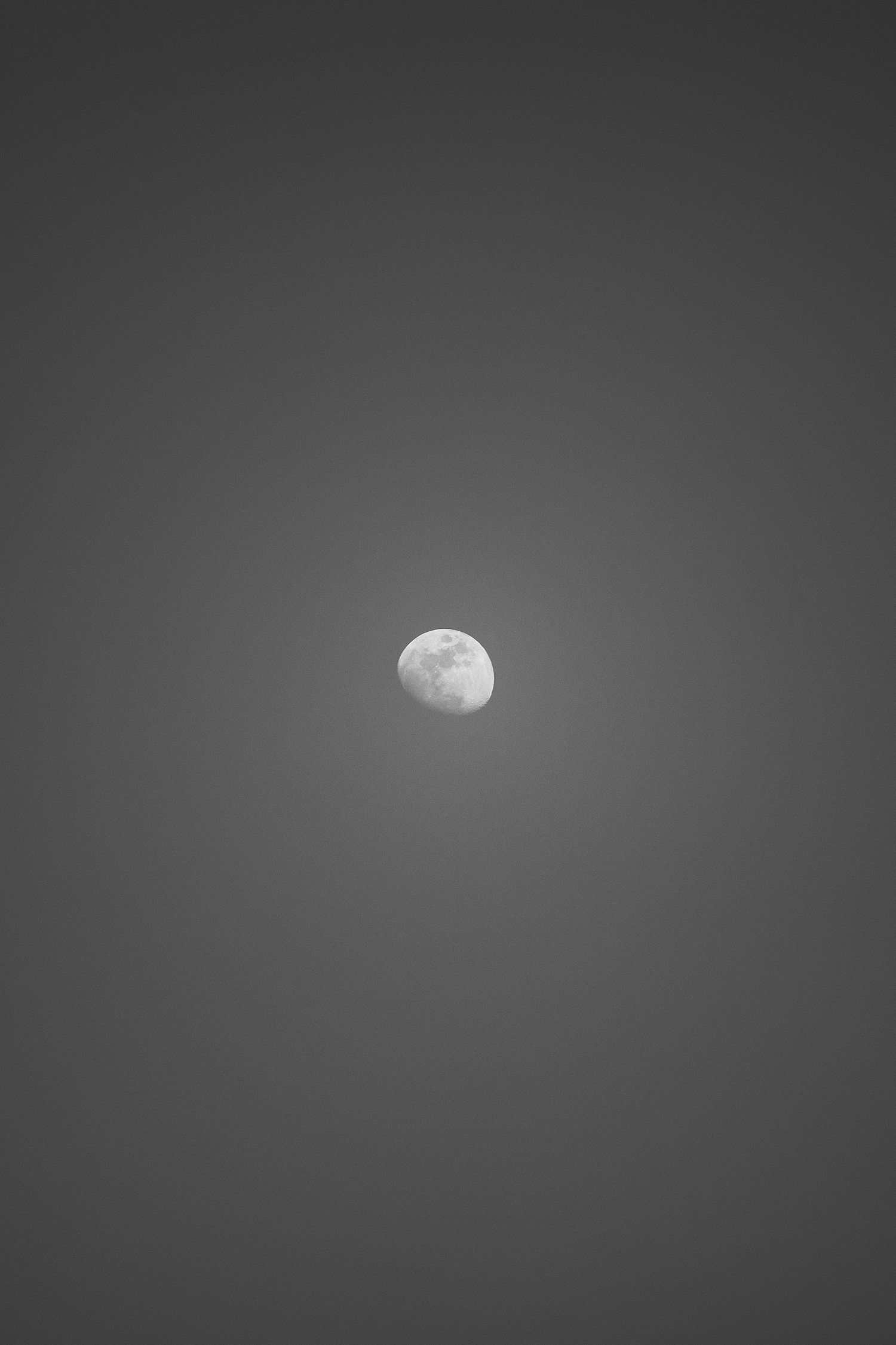 The moon at a wedding night
