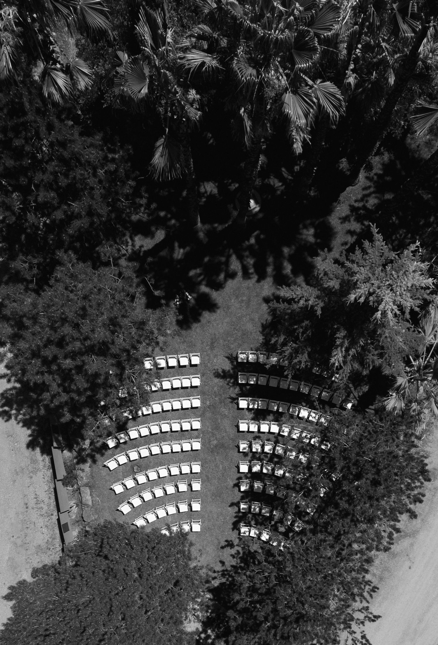 Aerial black and white photo of curved outdoor seating arrangement surrounded by palm trees.