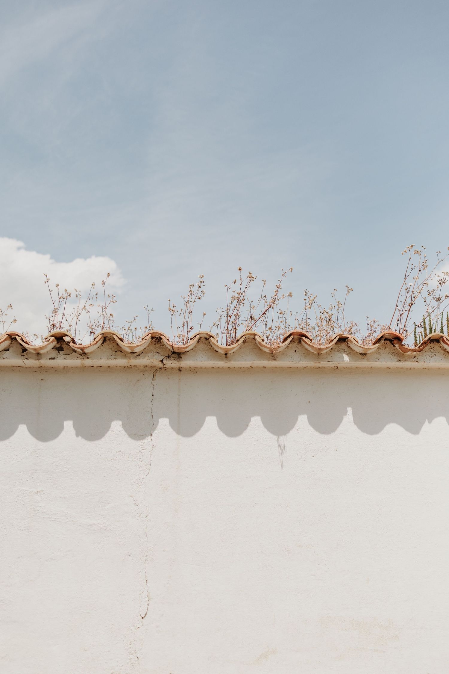 White Mediterranean wall with terracotta roof tiles and wildflowers against blue sky.