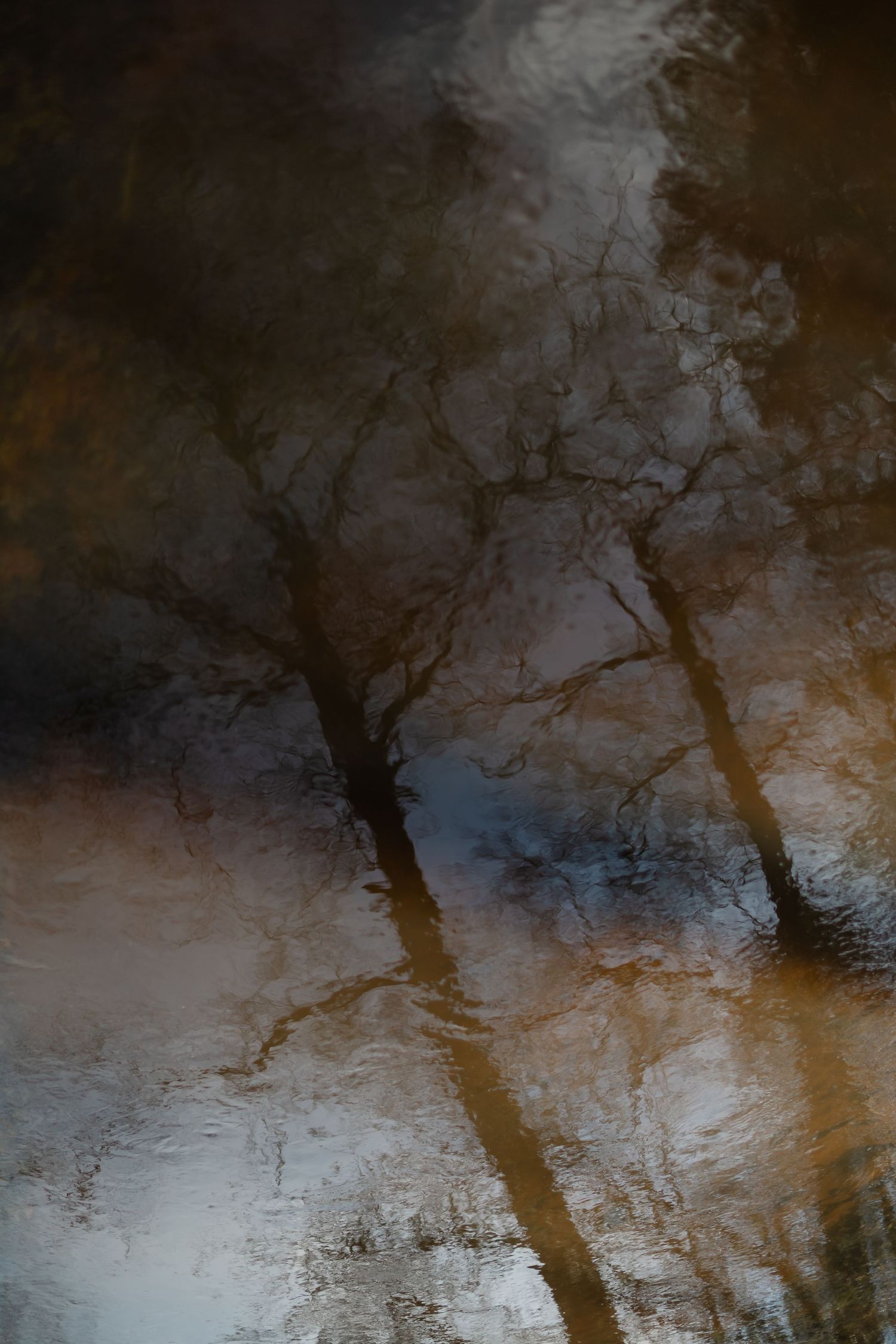 Abstract reflection of bare trees in rippling water with dark moody tones of brown and blue.