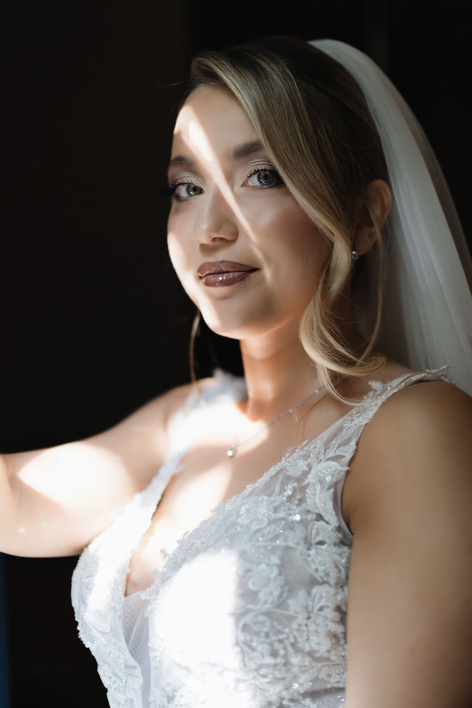 A beautiful bride in a lace wedding dress and veil poses in soft natural light against a dark background.