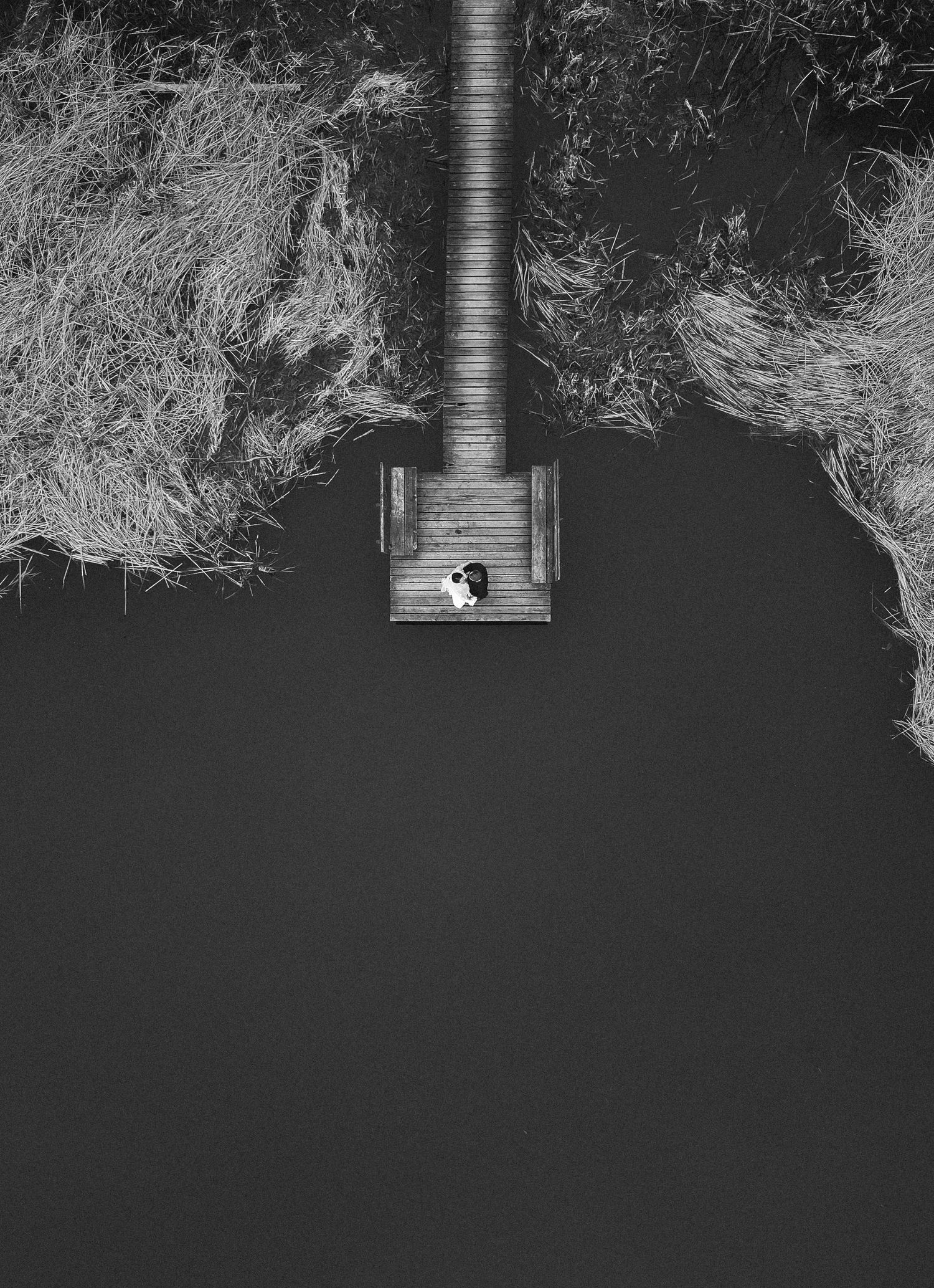 Aerial black and white view of a couple on a wooden dock extending into a dark lake.