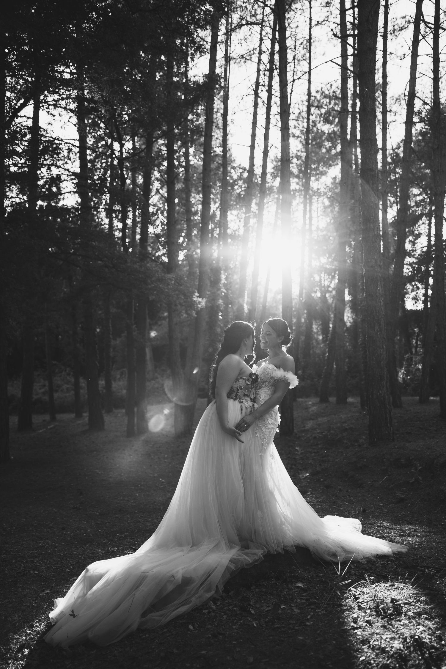 Black and white photo of two brides in white gowns embracing in sunlit forest with tall pine trees.