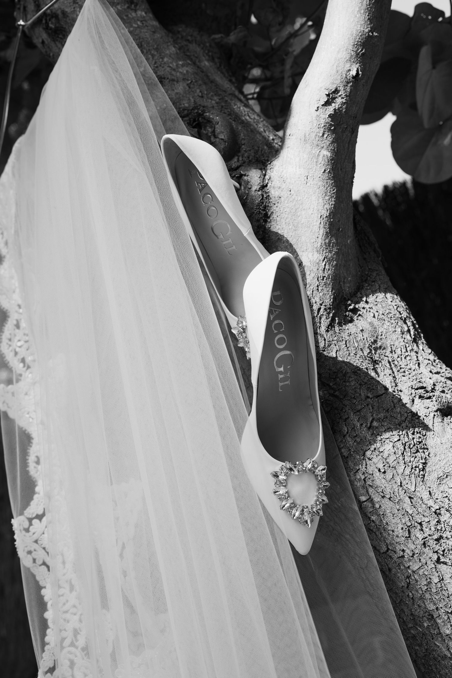 Black and white photo of white bridal heels with jeweled buckle and lace veil resting on tree branches.