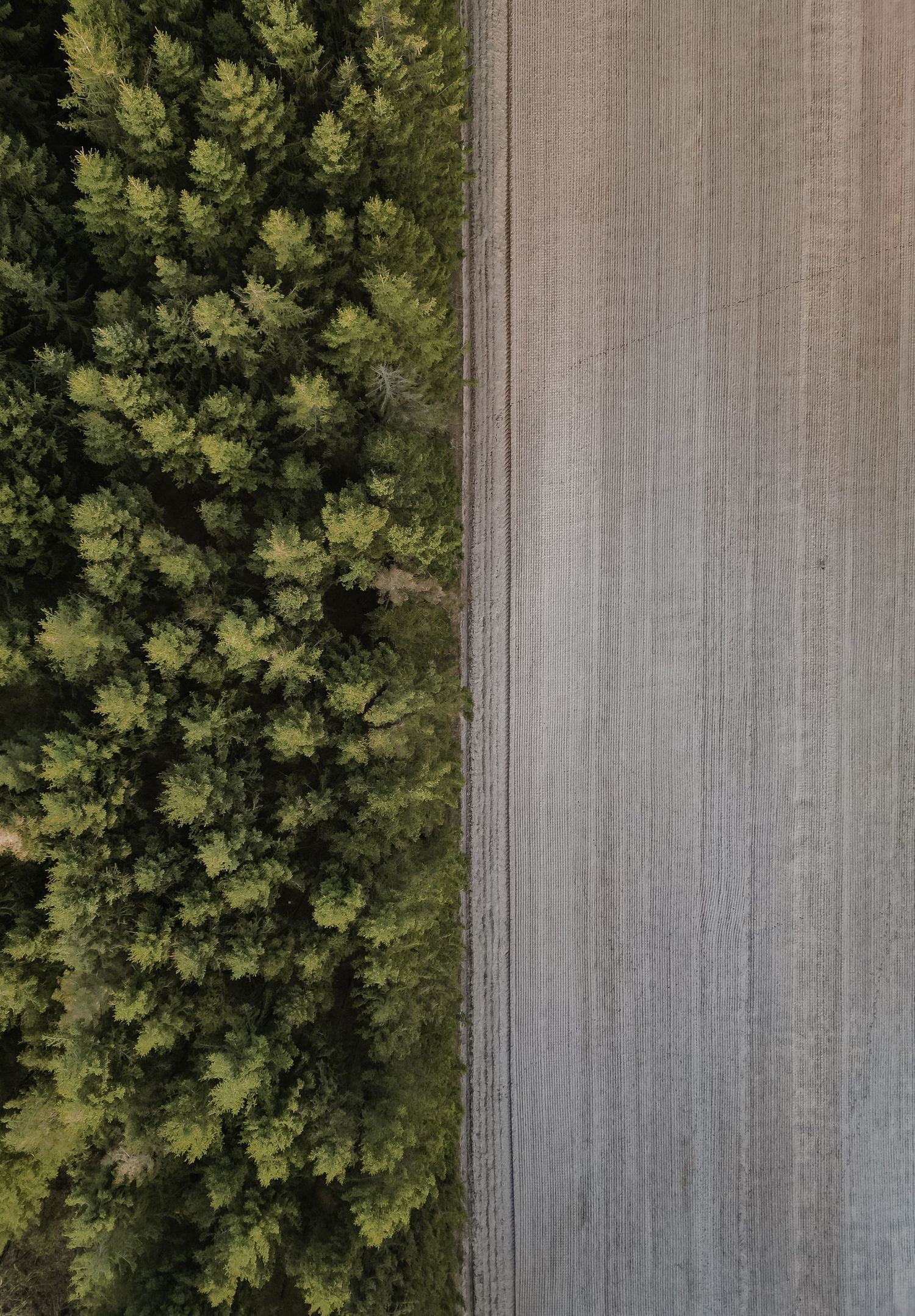 Drone shot Denmark