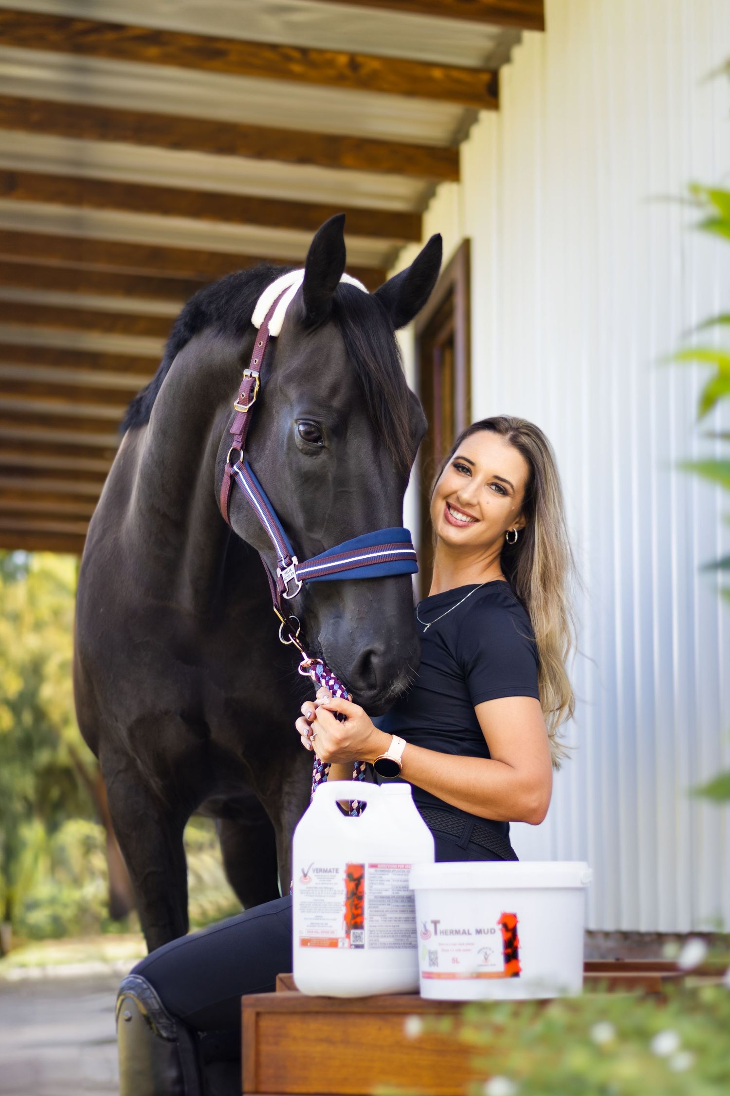 Beautiful black horse with decorative bridle standing next to equine care products.