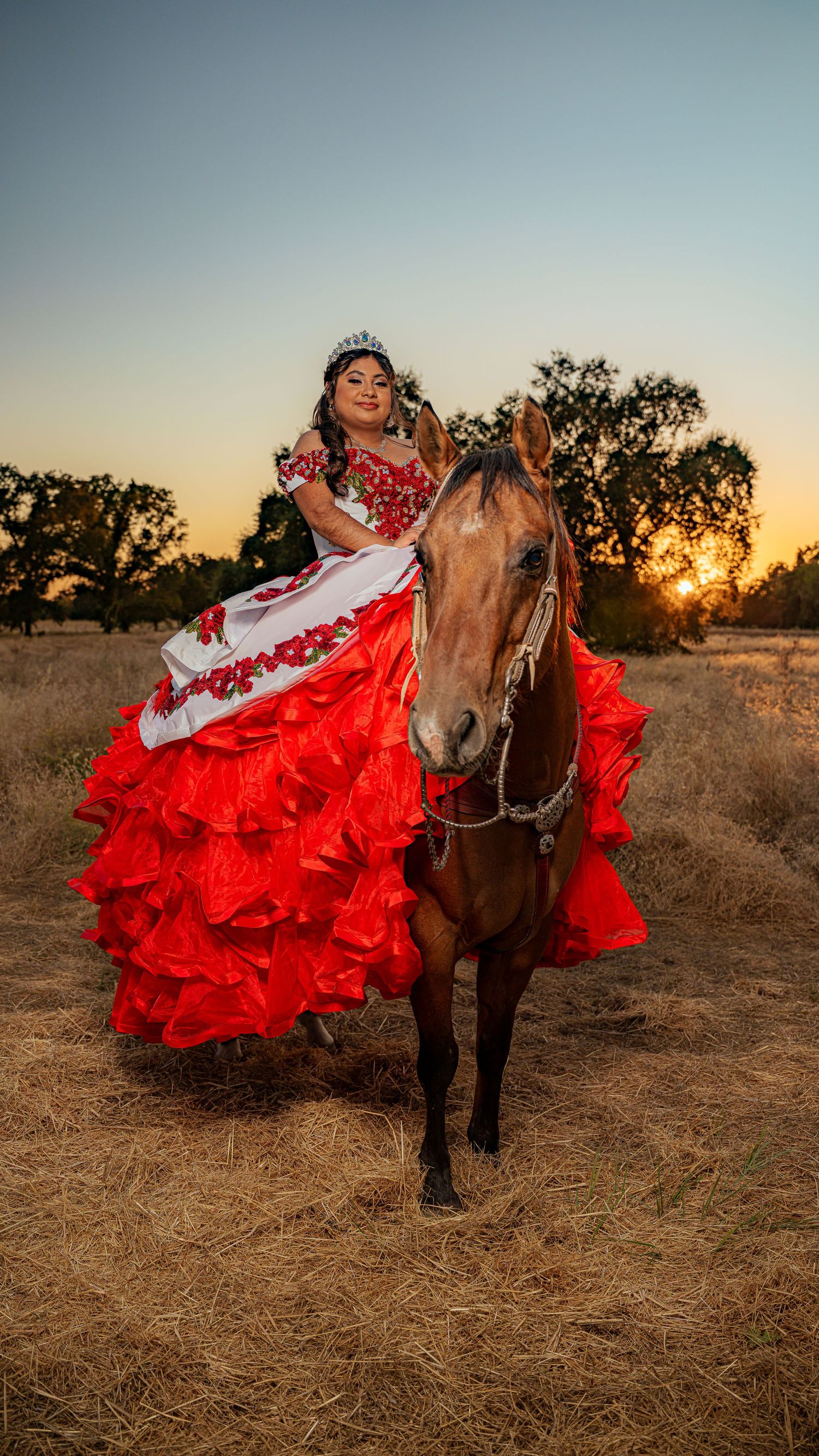 A stunning red quinceañera dress contrasts beautifully with a brown horse during a golden sunset photoshoot.