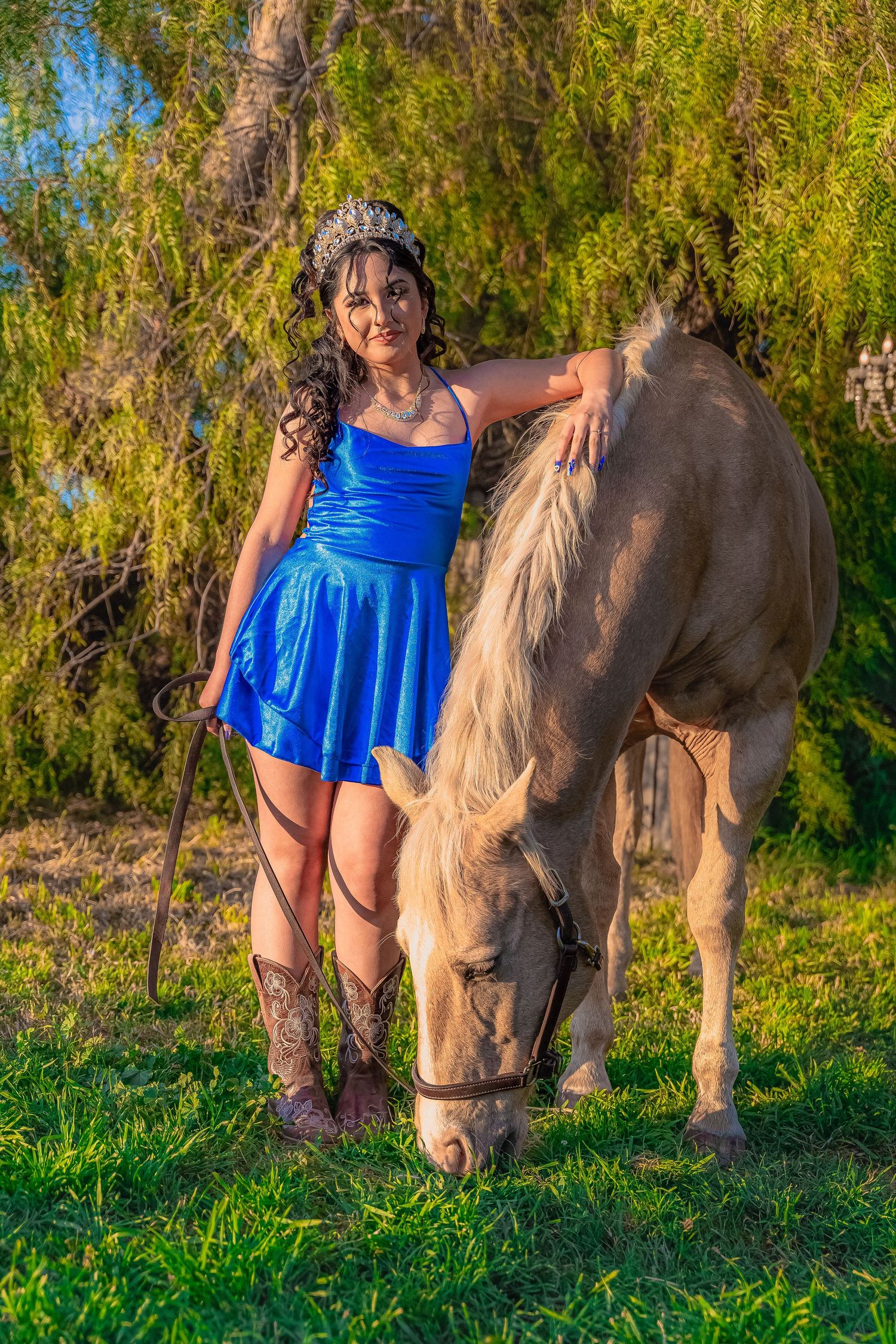 Country setting portrait with grazing palomino horse and blue summer dress.