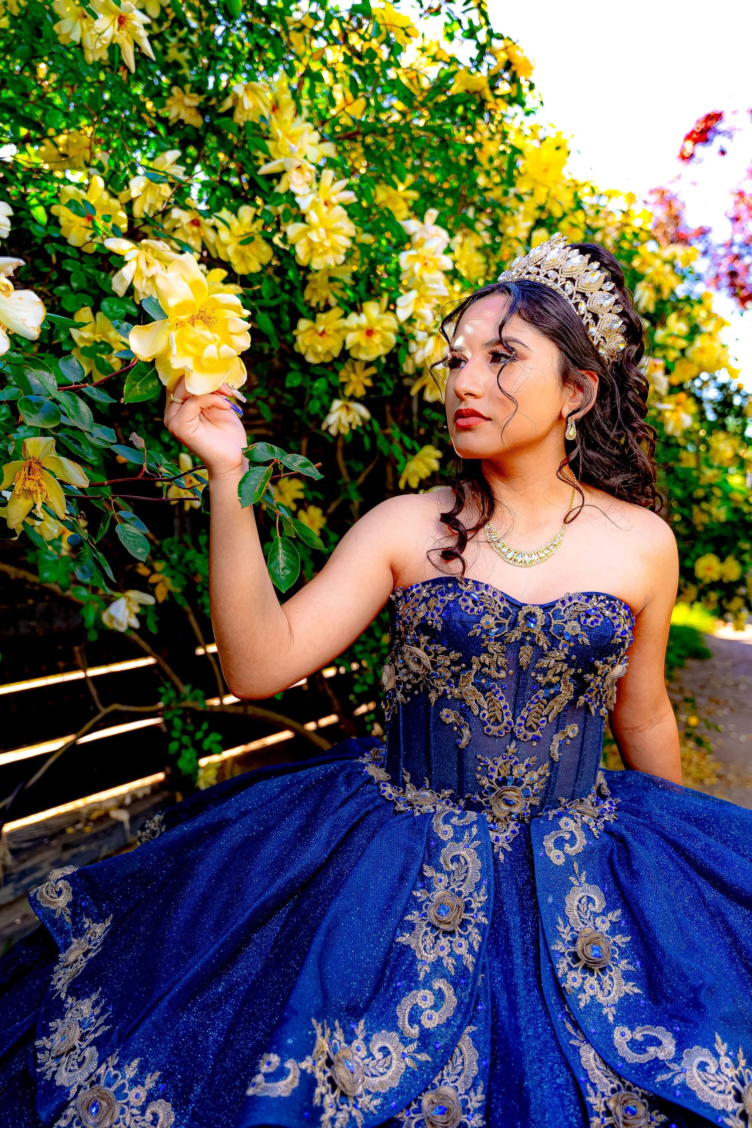 Royal blue quinceañera dress with silver embroidery displayed among yellow blooming flowers.