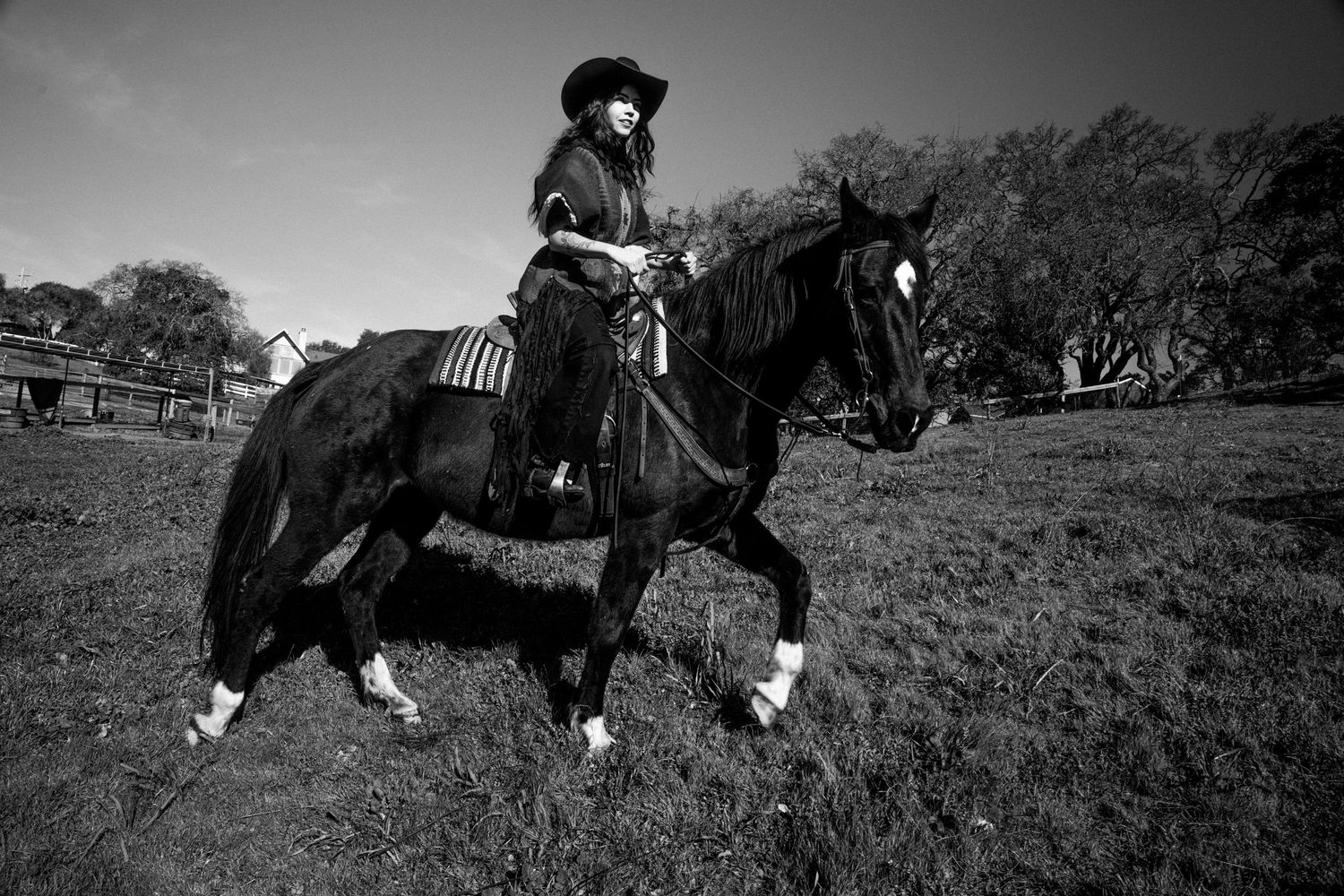Black and white photograph of horses running across a grassy field with riders in silhouette against the sky.