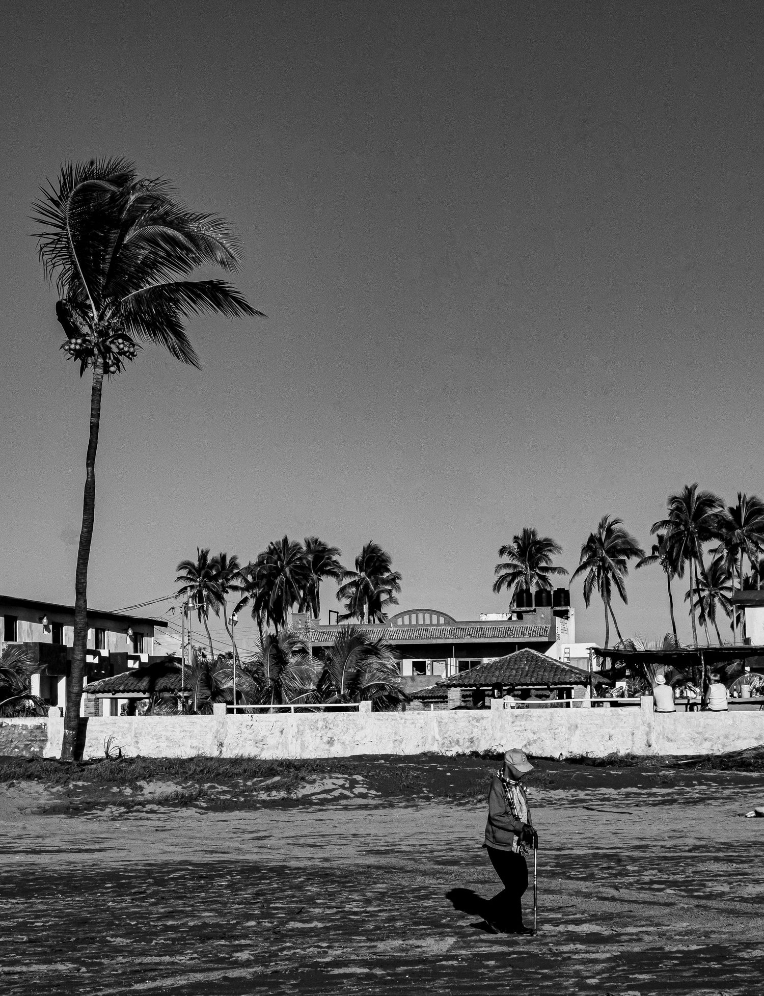 A black and white beach scene with palm trees swaying in the wind and a person walking along the shoreline.
